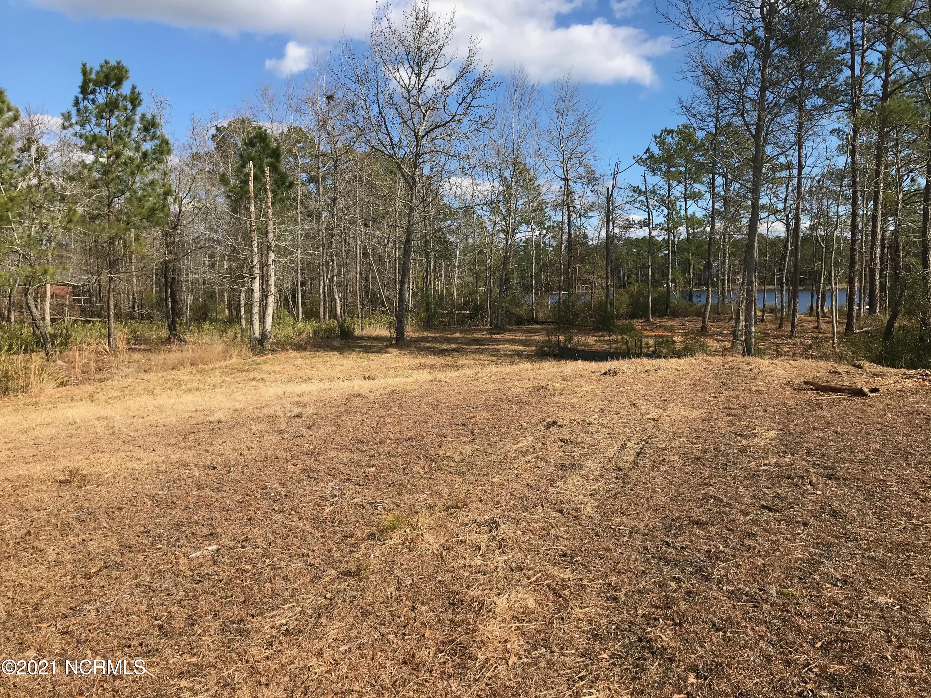 34 Sunset Point Road Belhaven, NC 27810 - Photo 16 of 60 House Mound View towards river