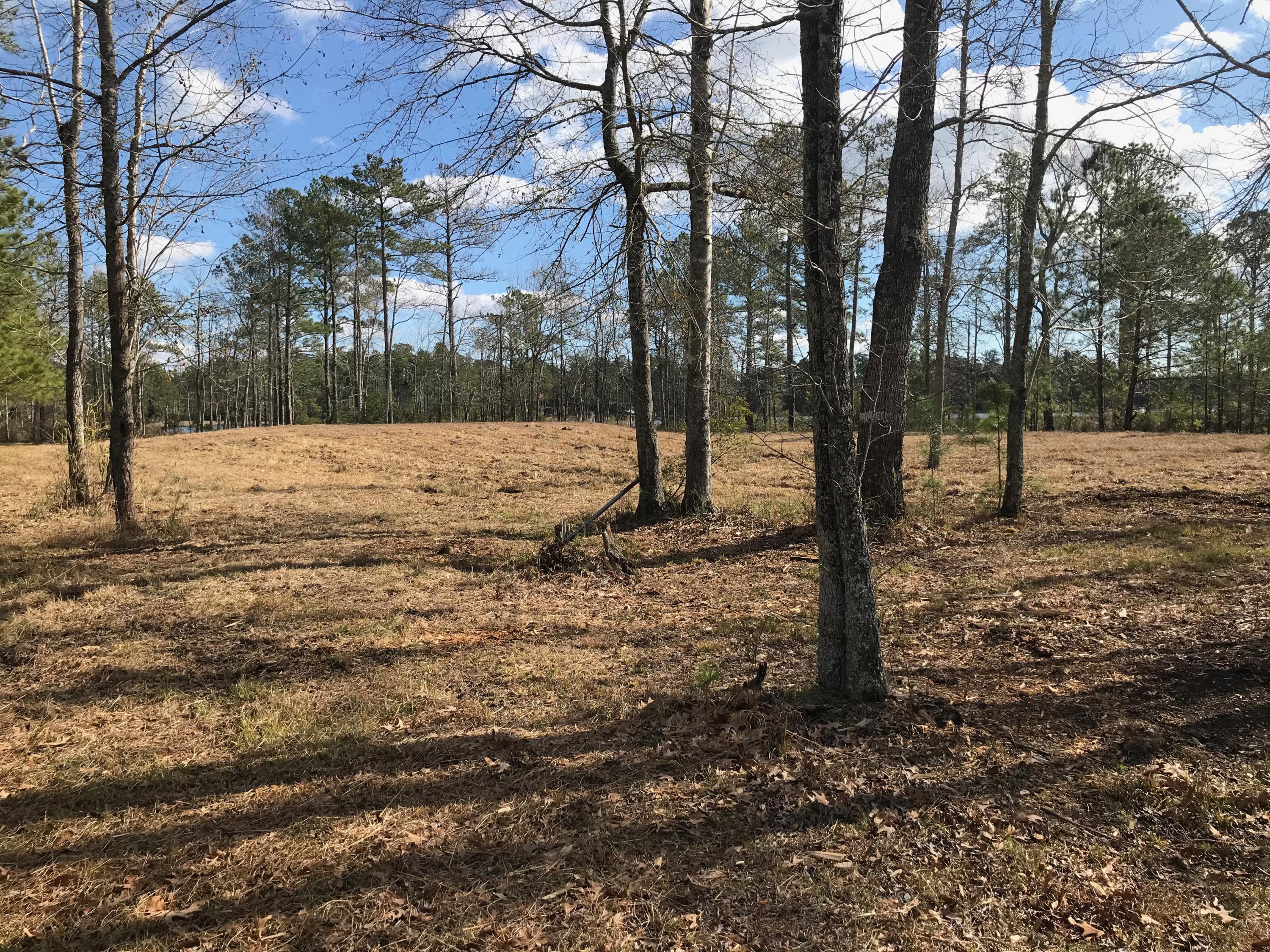 34 Sunset Point Road Belhaven, NC 27810 - Photo 18 of 60 Road view to house mound