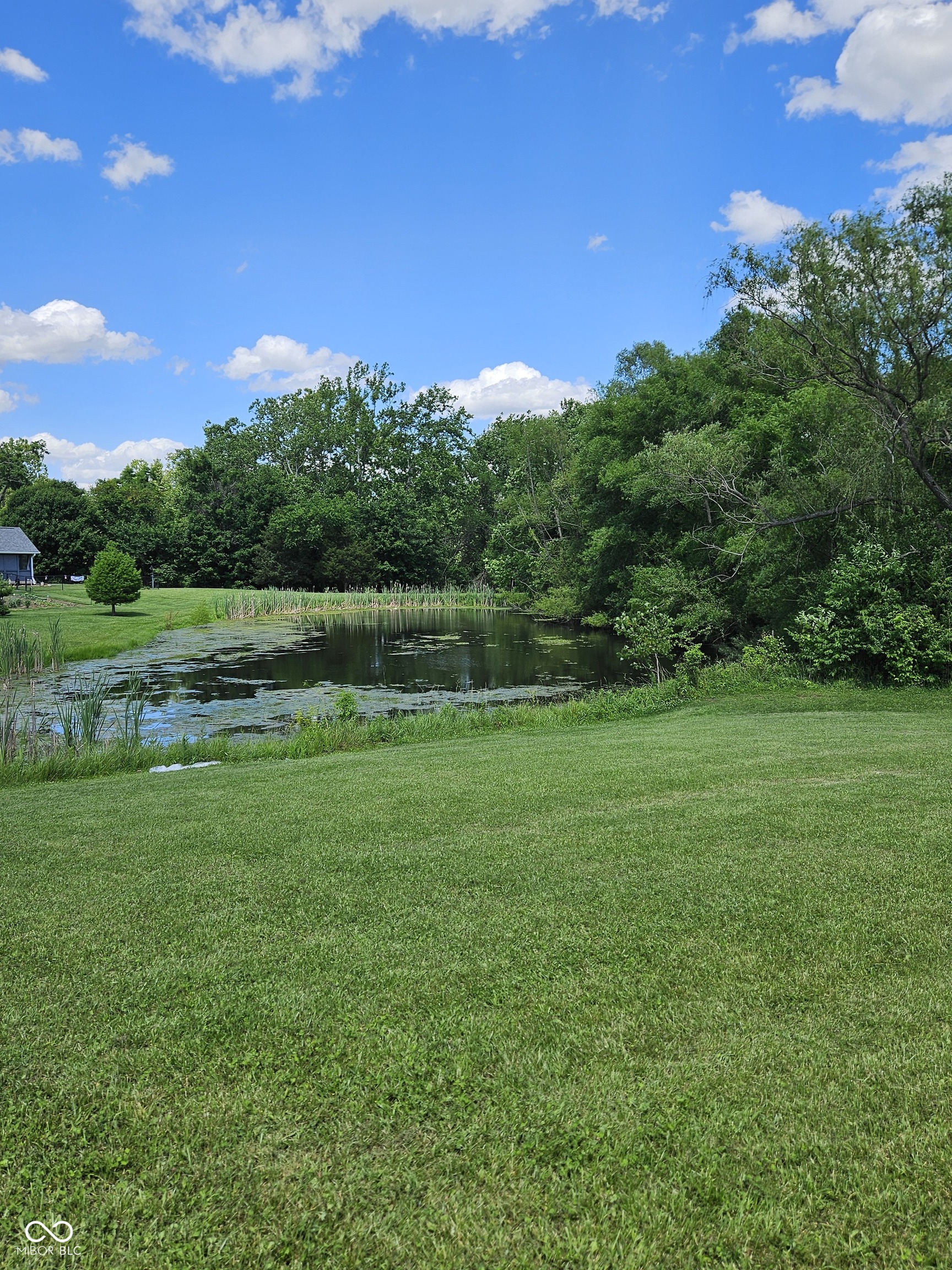 6787 South Nineveh Road Trafalgar, IN 46181 - Photo 11 of 59