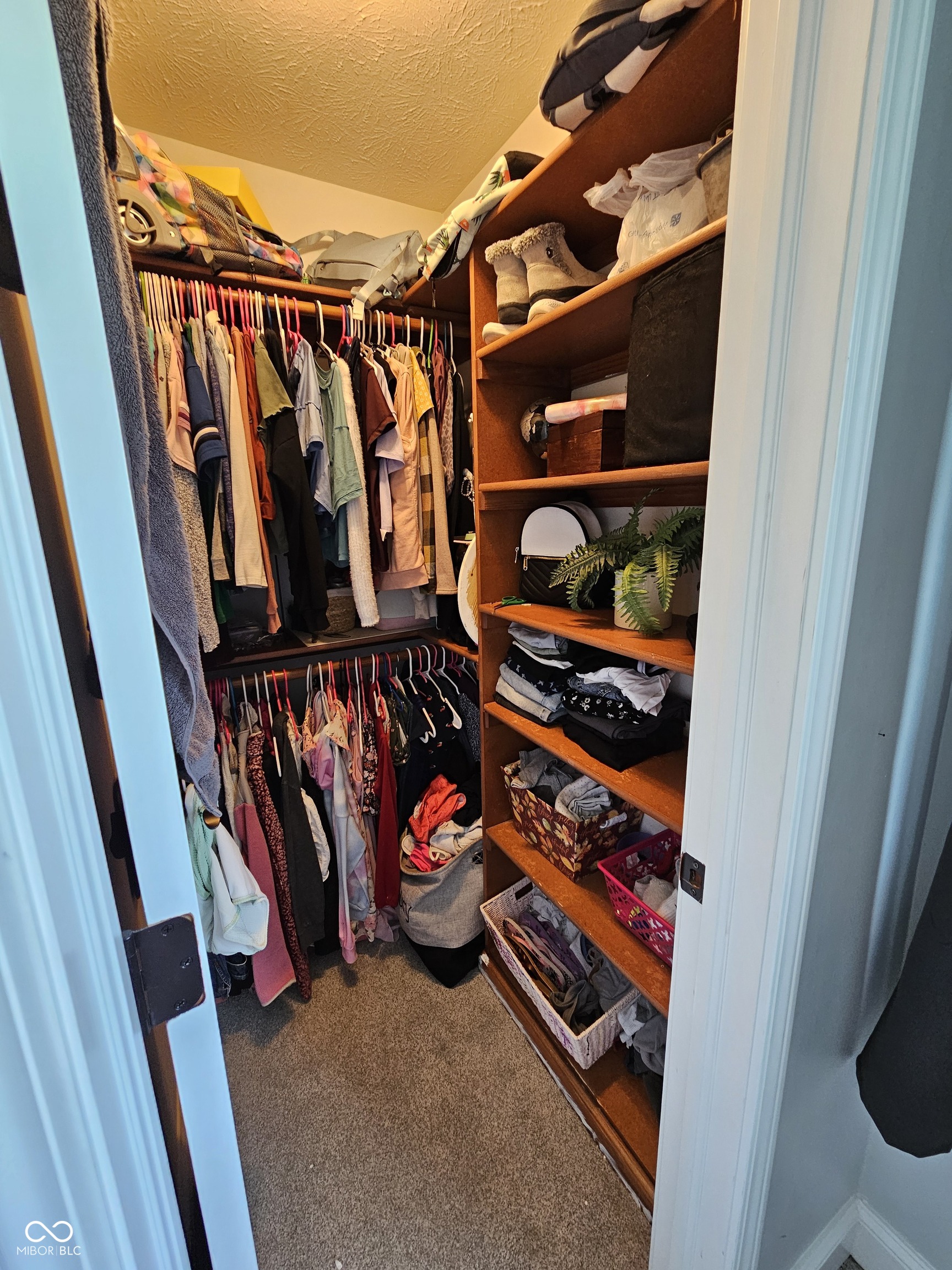 6787 South Nineveh Road Trafalgar, IN 46181 - Photo 42 of 59