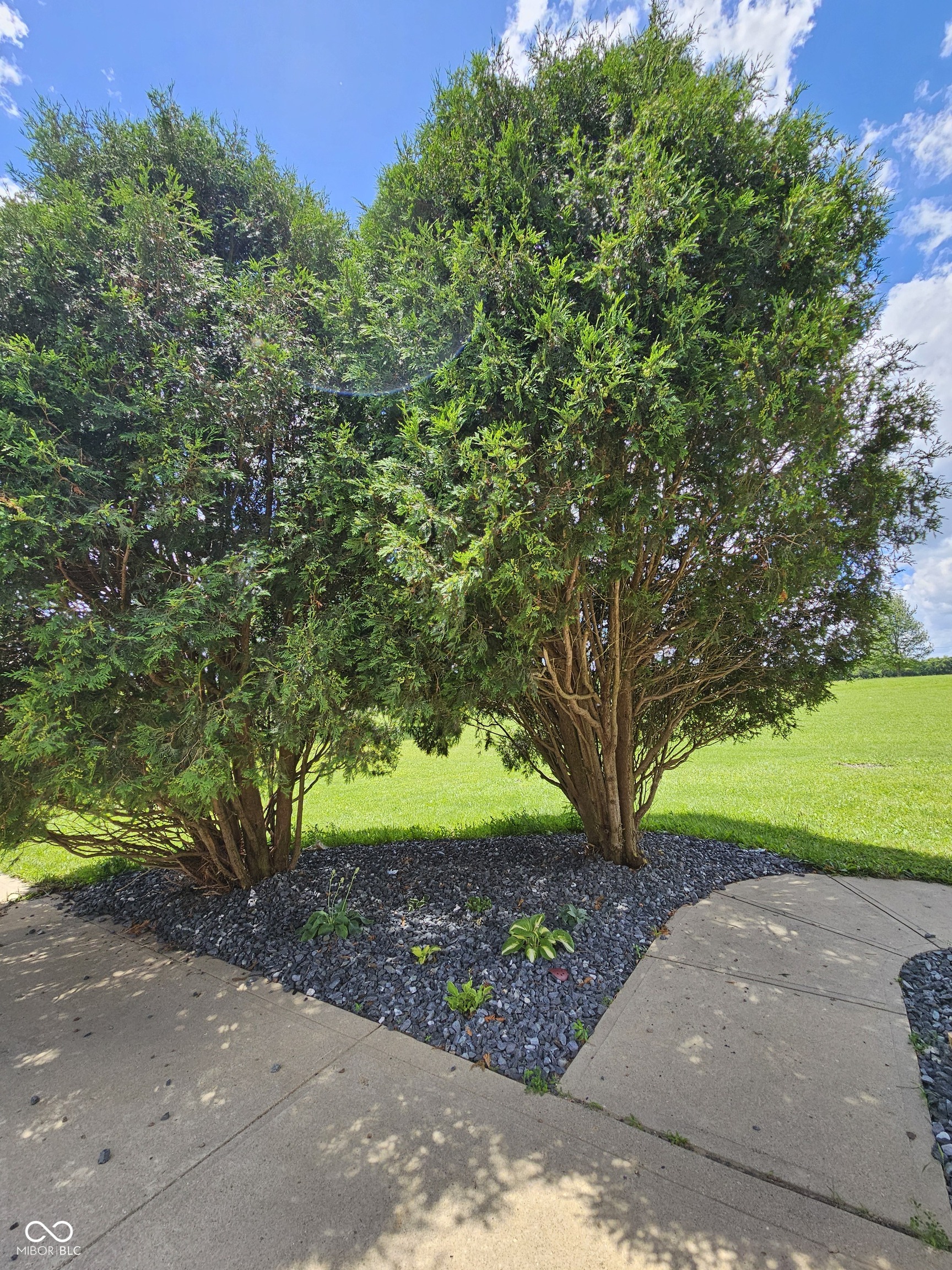 6787 South Nineveh Road Trafalgar, IN 46181 - Photo 9 of 59