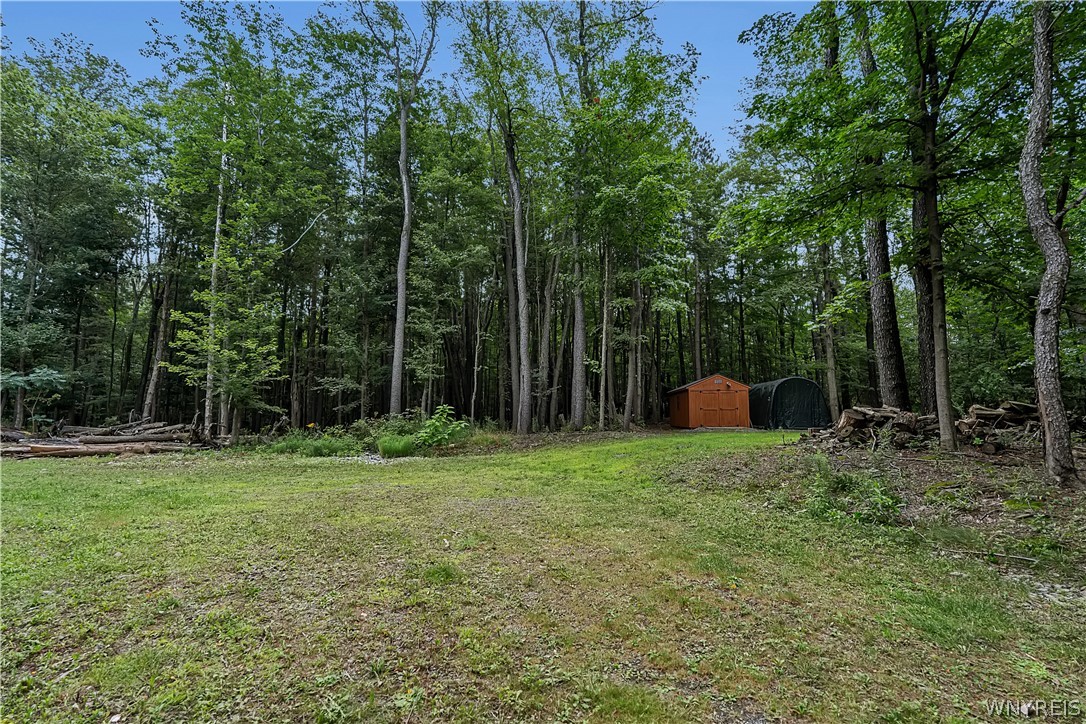 Harlow Road Darien Center, NY 14040 - Photo 14 of 28 Gallery Image 14