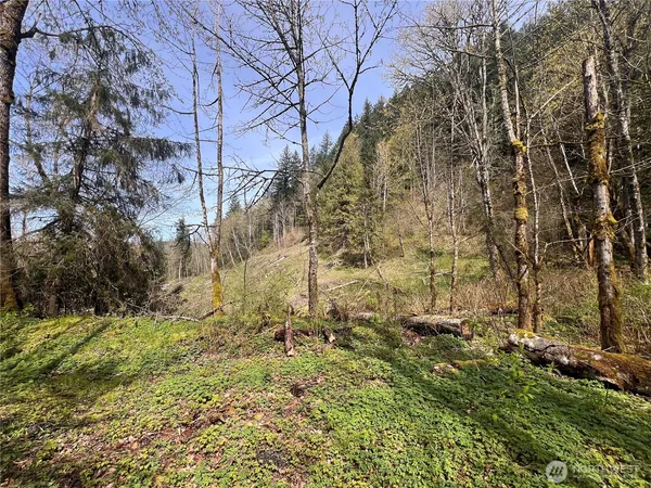 $299,950 | 35-xxx Cumberland Way Southeast, Enumclaw, WA 98022