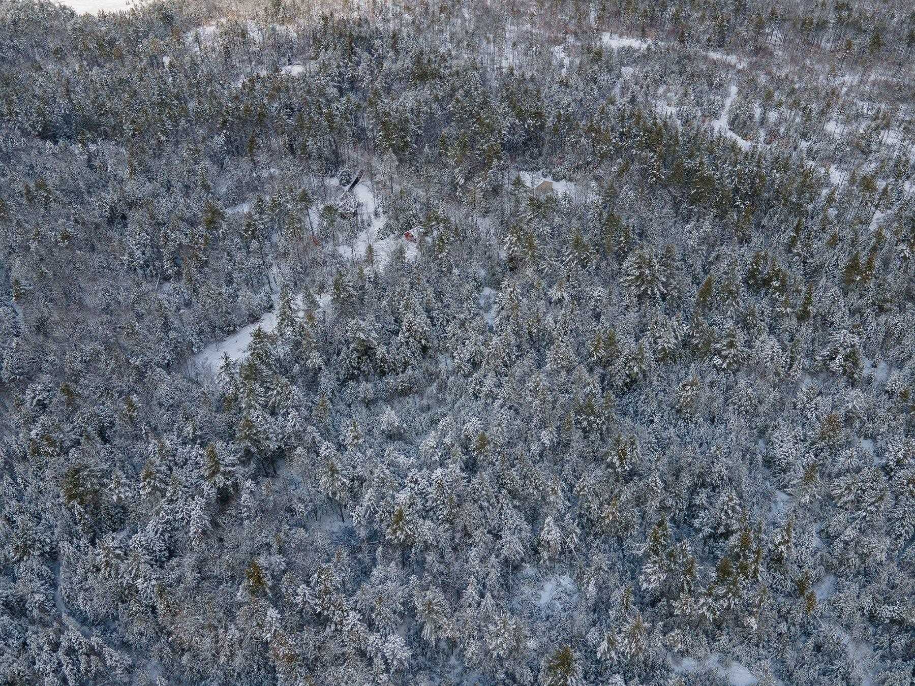 Effingwood Farm Road Effingham, NH 03882 - Photo 8 of 8