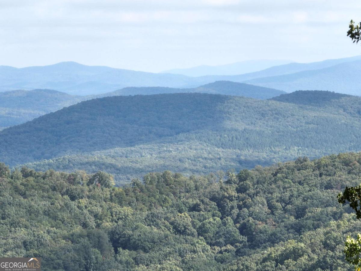 280 Andes Ridge Talking Rock, GA 30175 - Photo 12 of 45