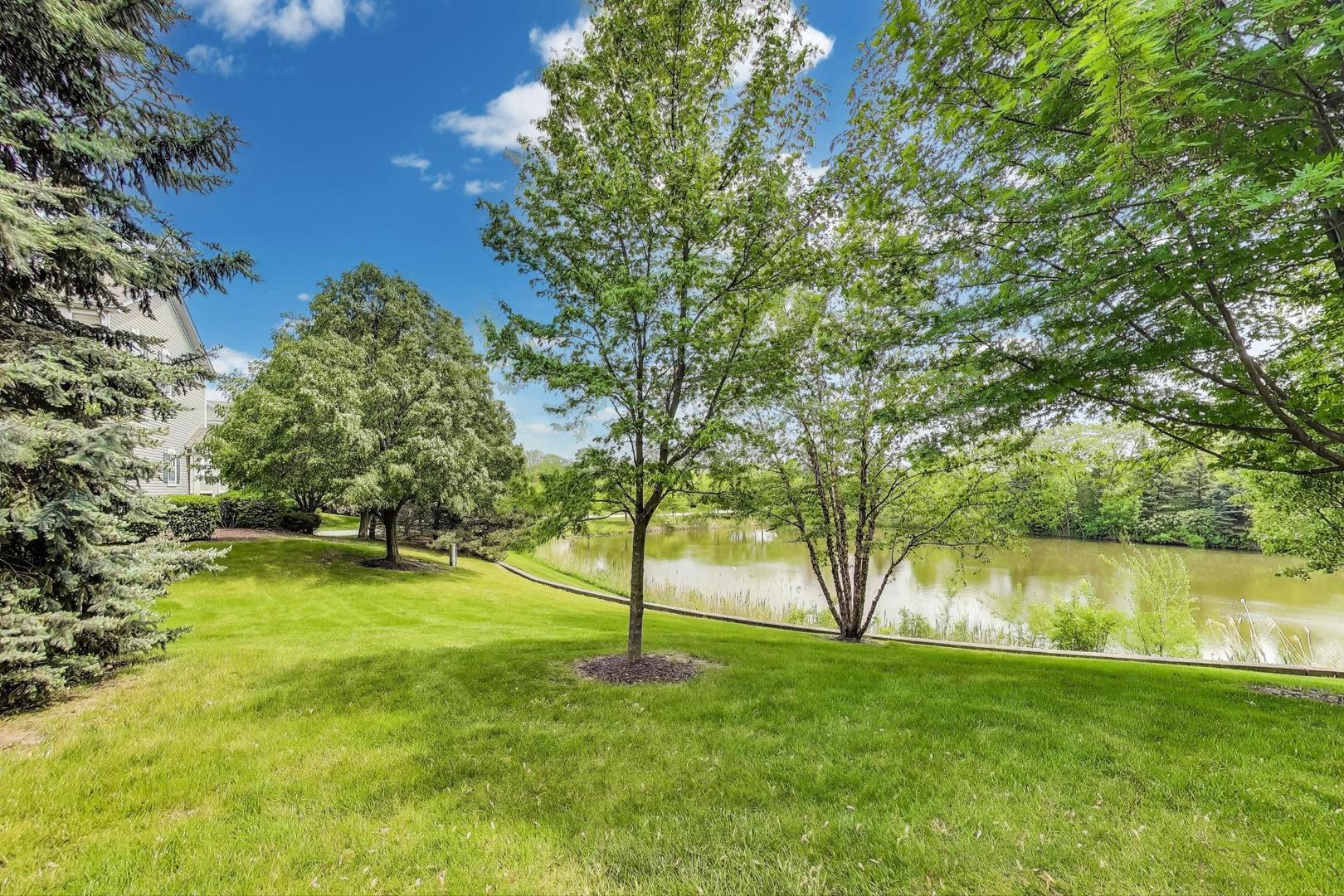 532 Declaration Lane Aurora, IL 60502 - Photo 29 of 34 a view of a yard with a tree