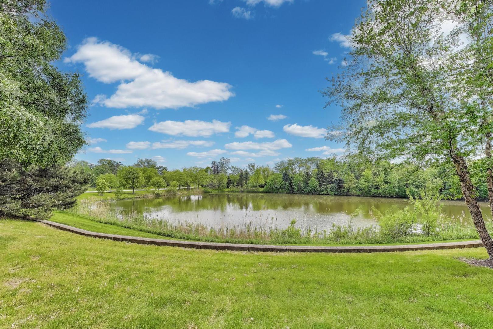 532 Declaration Lane Aurora, IL 60502 - Photo 32 of 34 a view of a lake with houses in the background