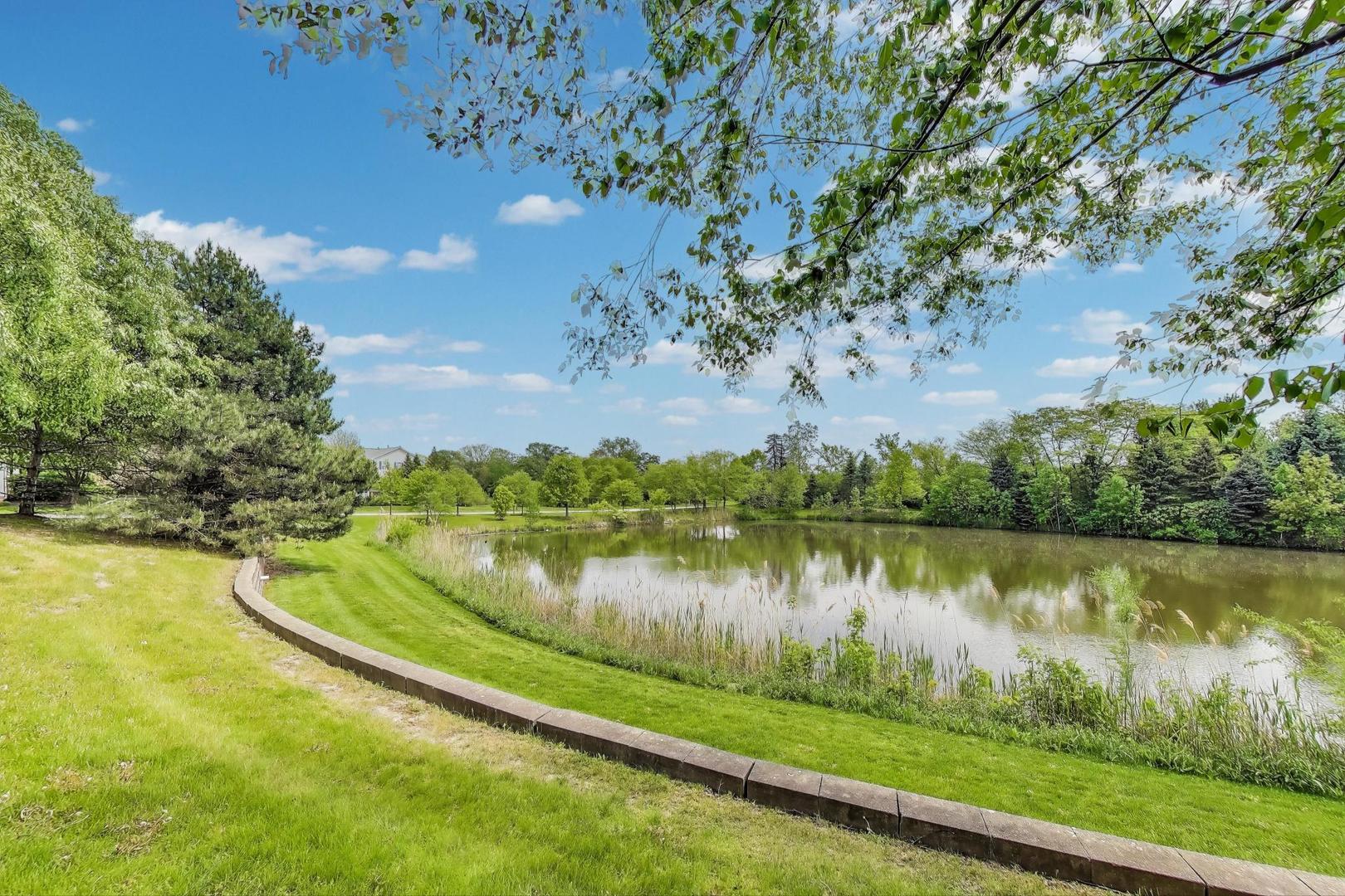 532 Declaration Lane Aurora, IL 60502 - Photo 33 of 34 a view of a lake with a big yard