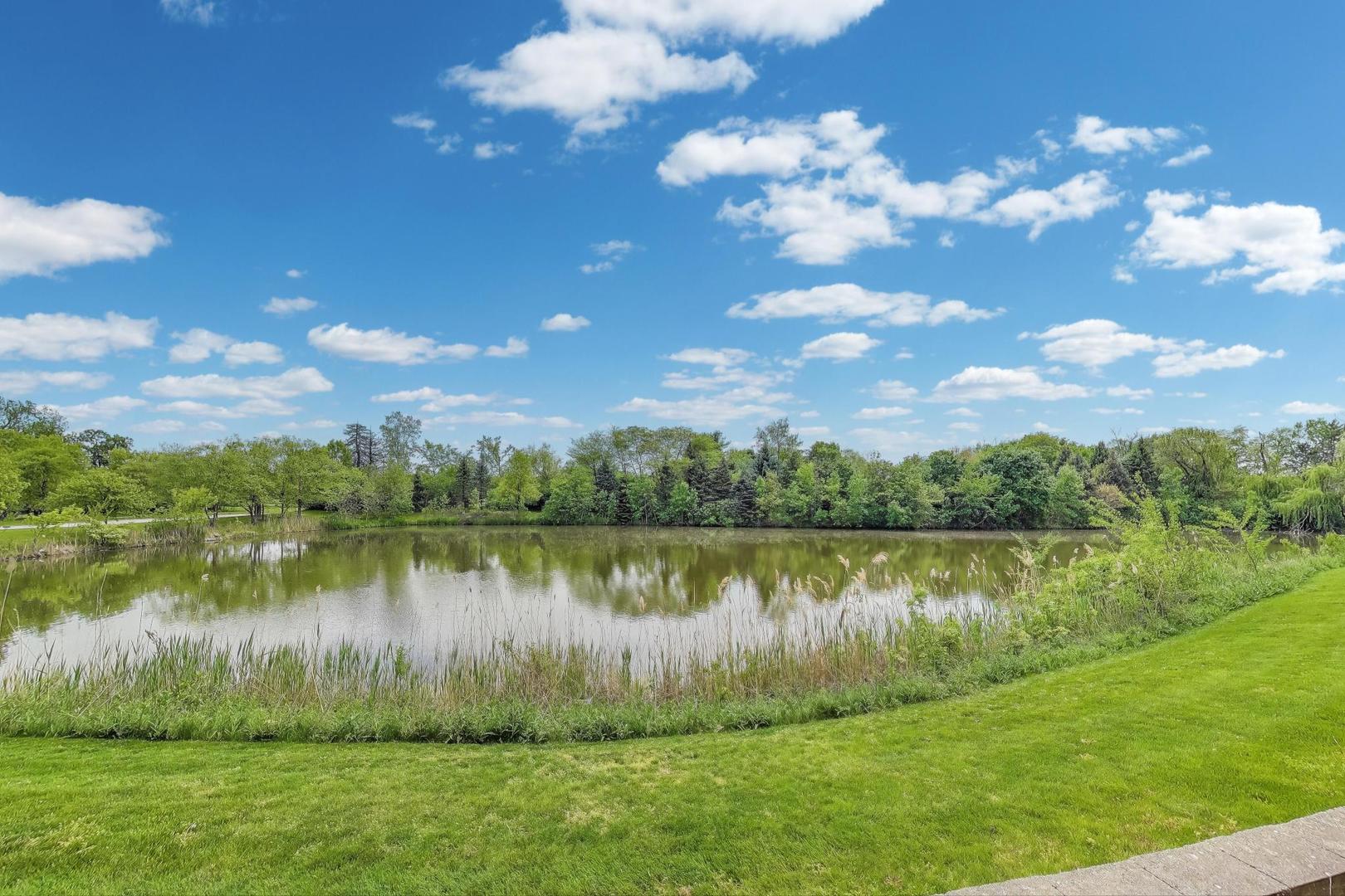 532 Declaration Lane Aurora, IL 60502 - Photo 34 of 34 a view of a lake with a big yard
