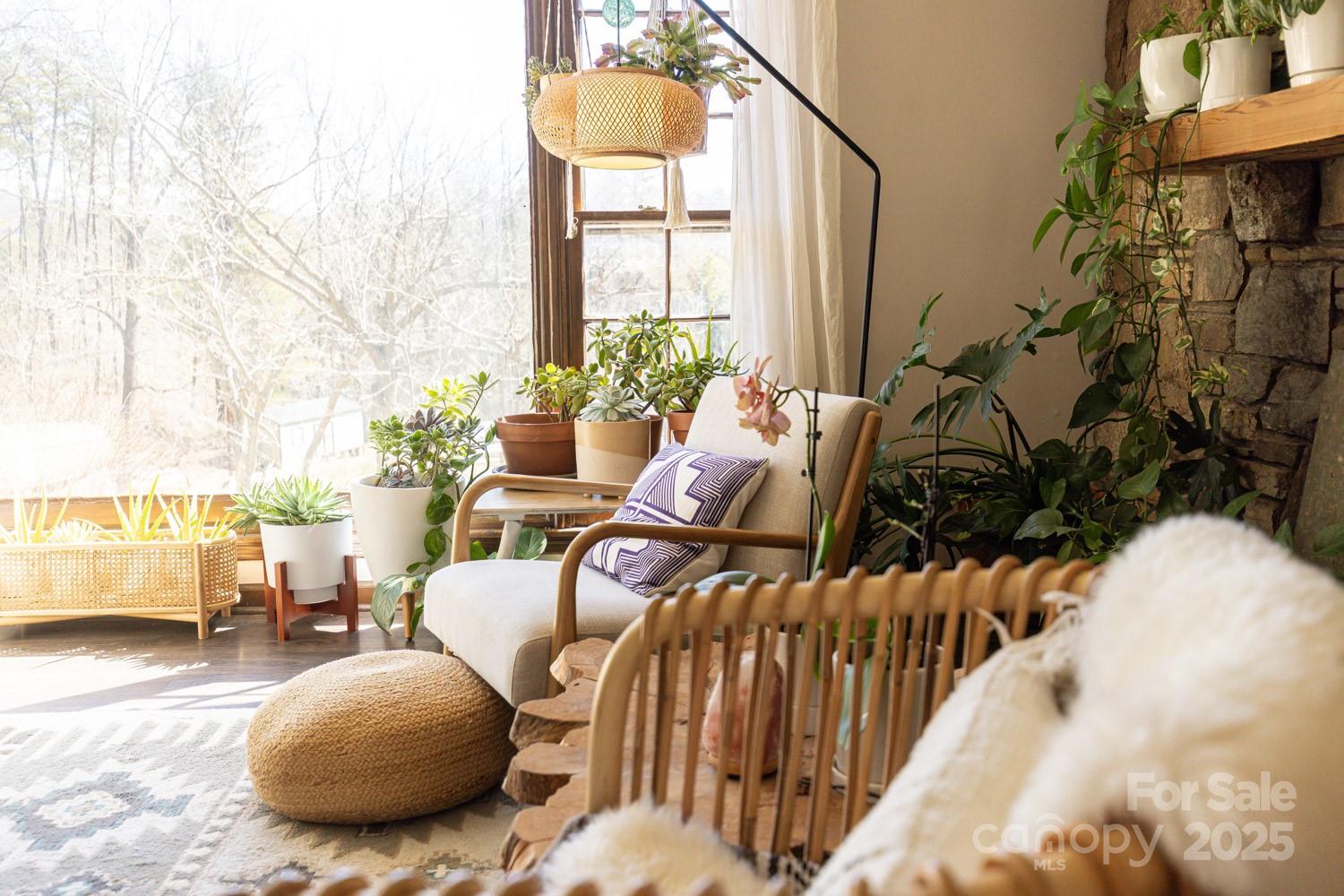 39 Edwards Road Fairview, NC 28730 - Photo 4 of 20 a living room with furniture and a potted plant