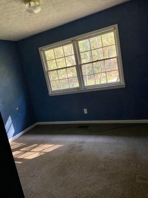 207 Zittrouer Road Guyton, GA 31312 - Photo 9 of 17 8