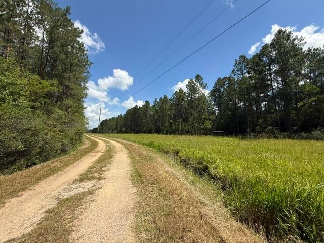 0 Elmer Hamilton Road Moss Point, MS 39562 - Photo 15 of 22 Gallery Image 15