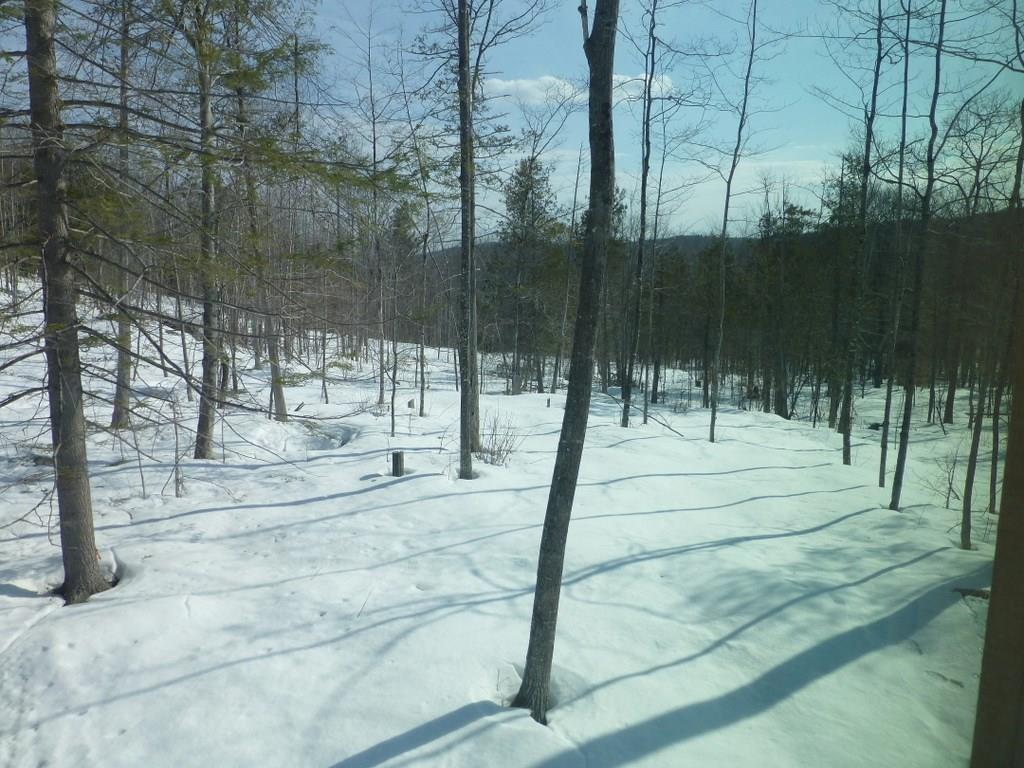 Tbd Brahmer Road New Vineyard, ME 04956 - Photo 19 of 19 Photo