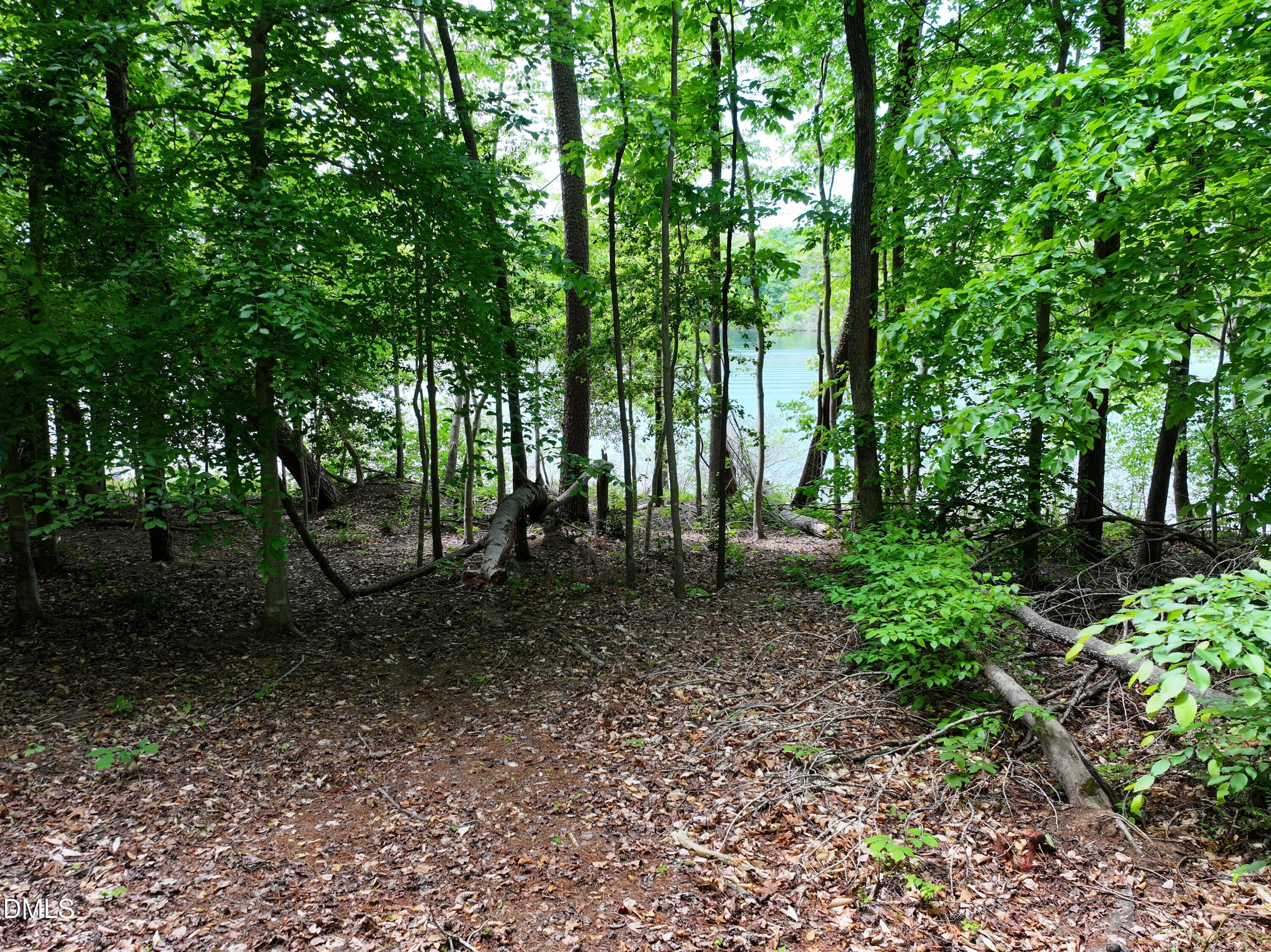 75 Max Finn Lane Roxboro, NC 27574 - Photo 3 of 17 a view of outdoor space and trees