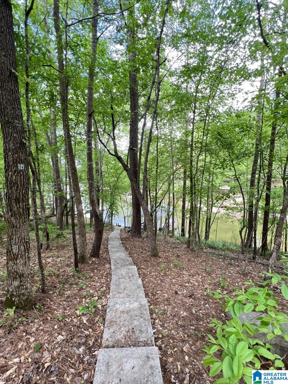 122 Walnut Street Wedowee, AL 36278 - Photo 25 of 29