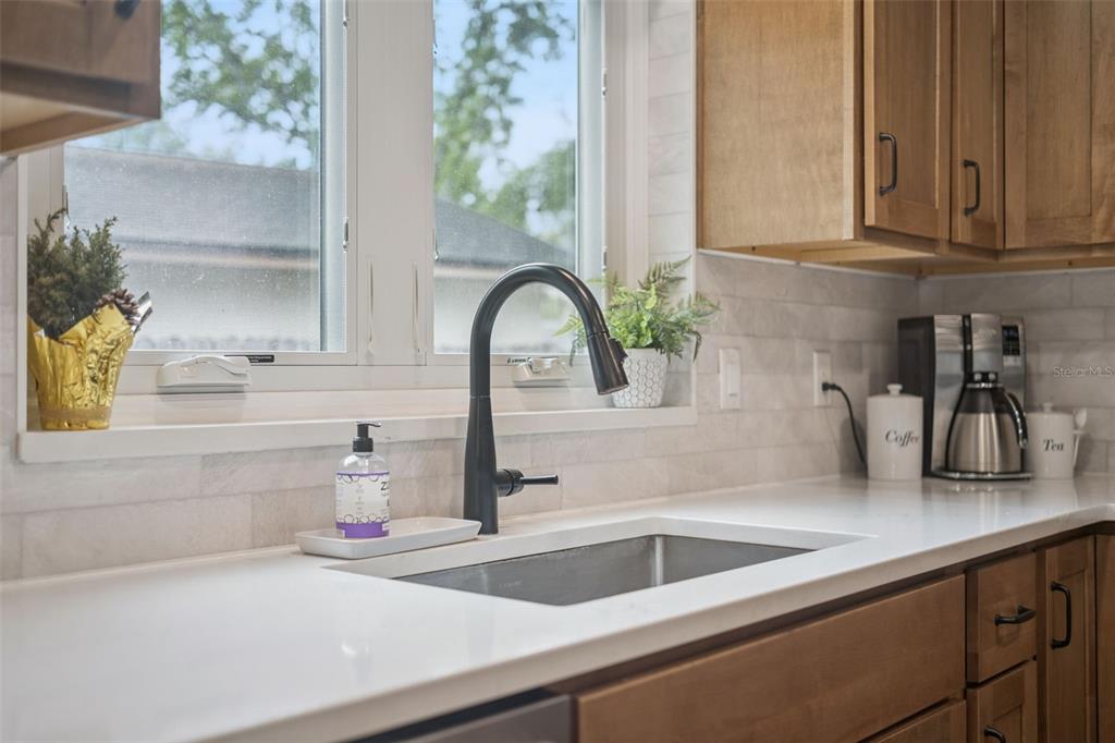 859 Benchwood Drive Winter Springs, FL 32708 - Photo 18 of 35 a kitchen with a sink and a potted plant