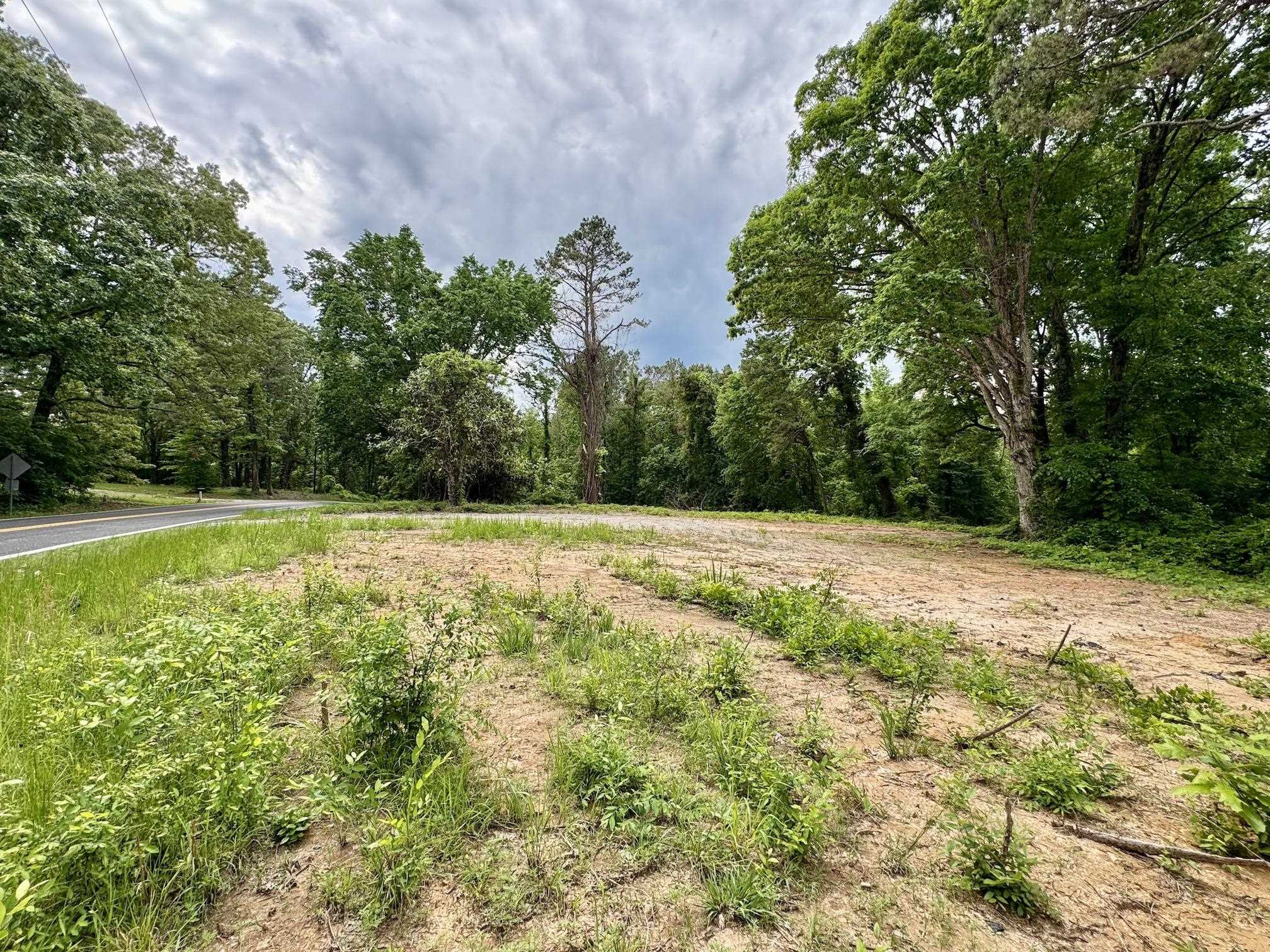 a view of outdoor space with swimming pool and green space
