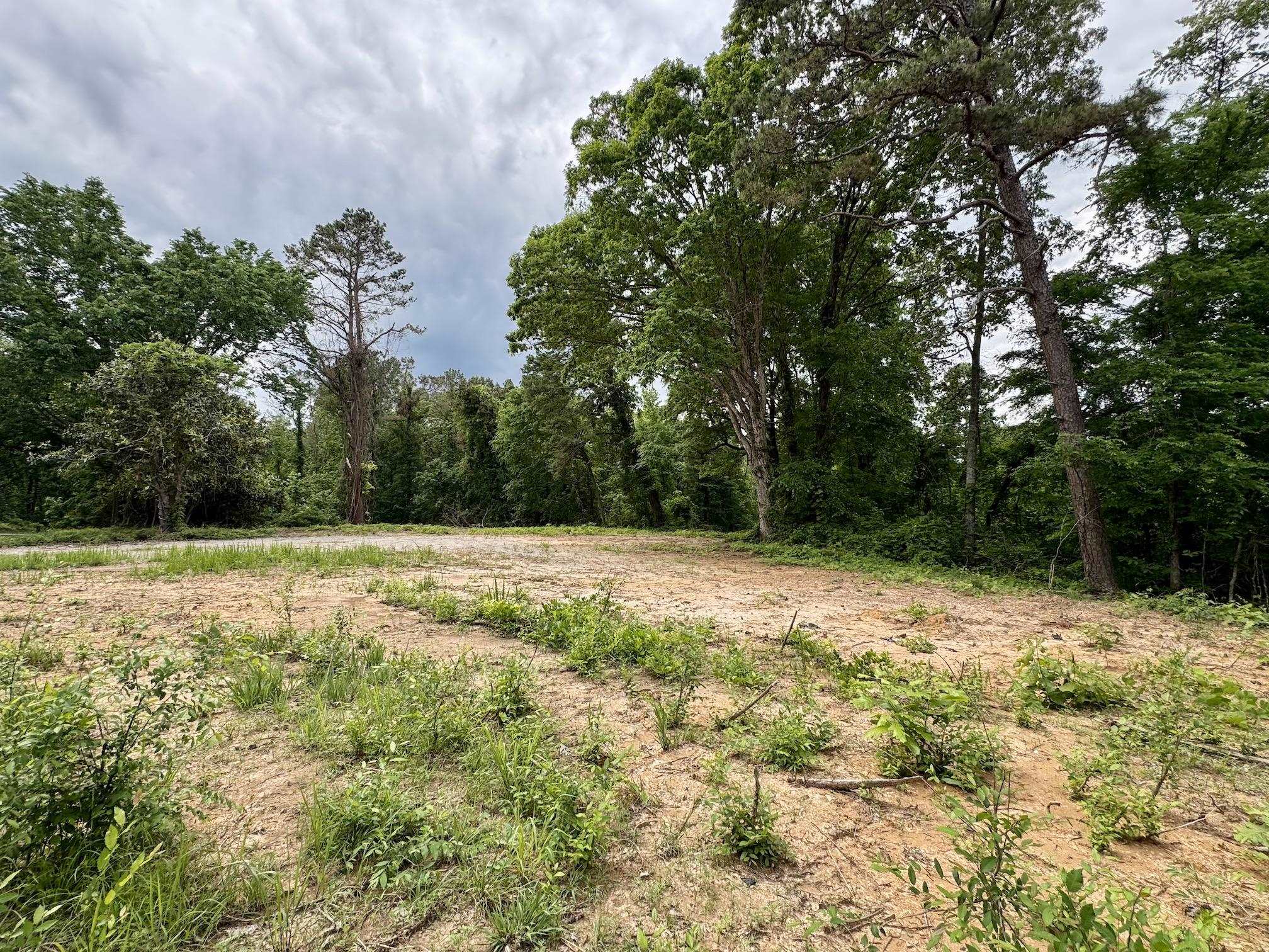 0 Silerton Road Road Bolivar, TN 38008 - Photo 17 of 23 a view of backyard with large trees