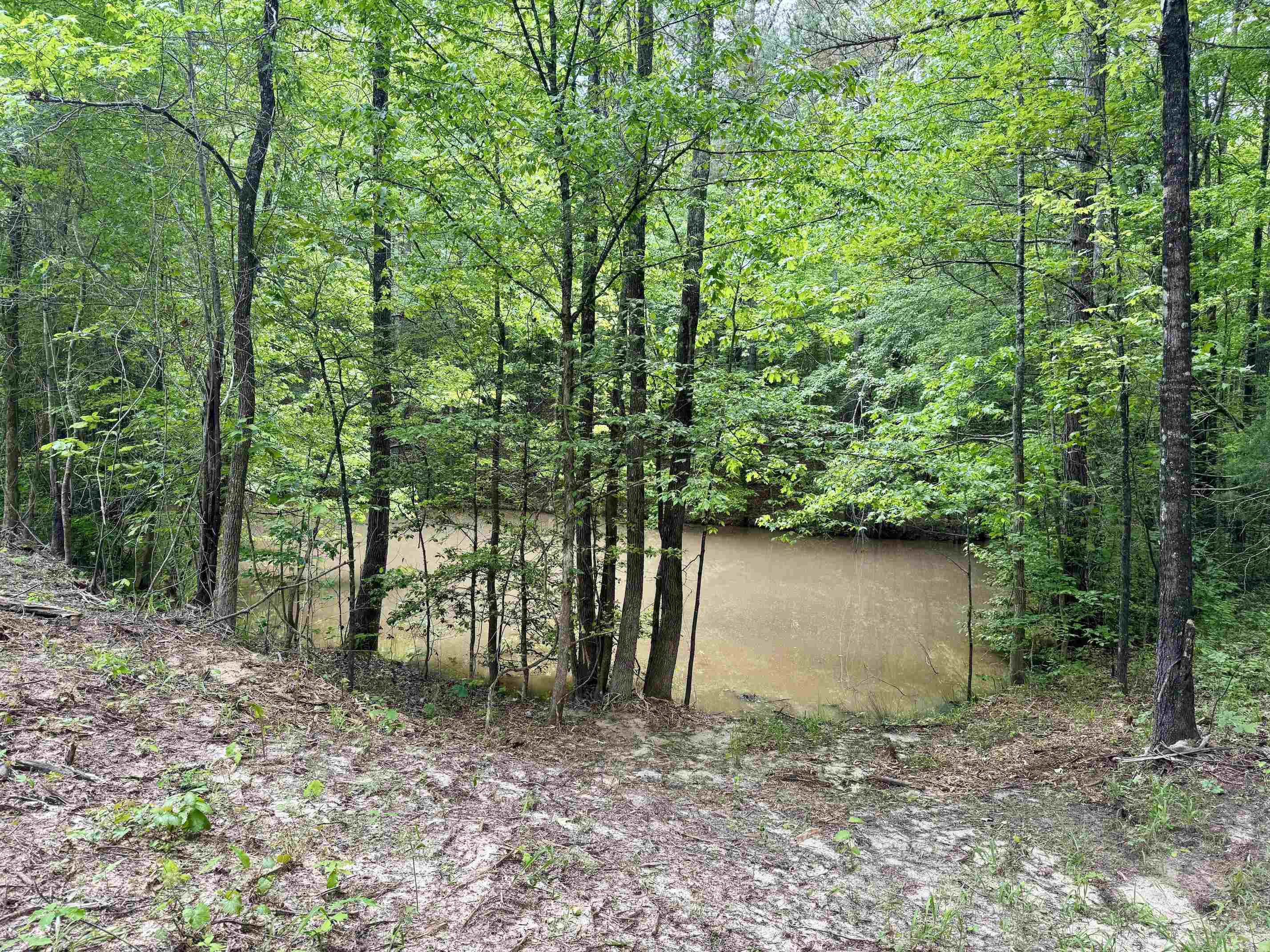 0 Silerton Road Road Bolivar, TN 38008 - Photo 2 of 23 a view of a yard