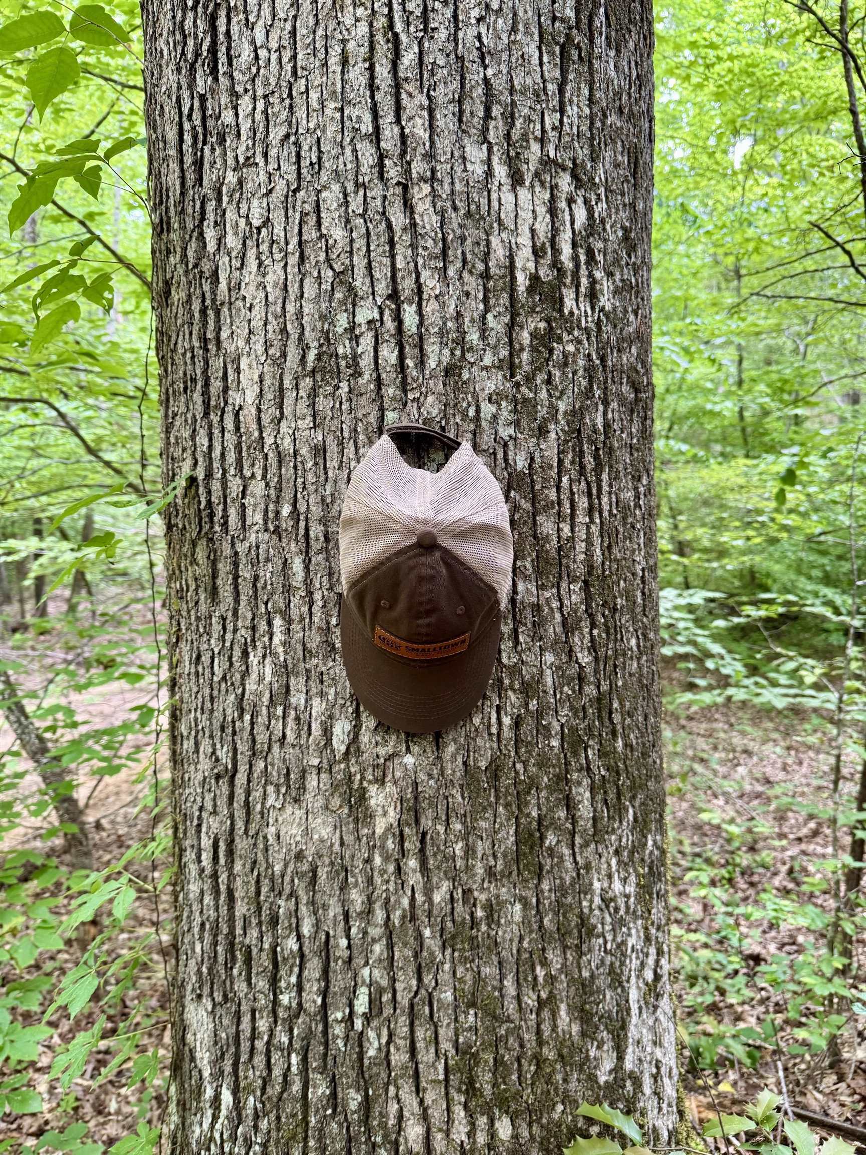 0 Silerton Road Road Bolivar, TN 38008 - Photo 4 of 23 a vase of flowers sitting next to a wooden wall