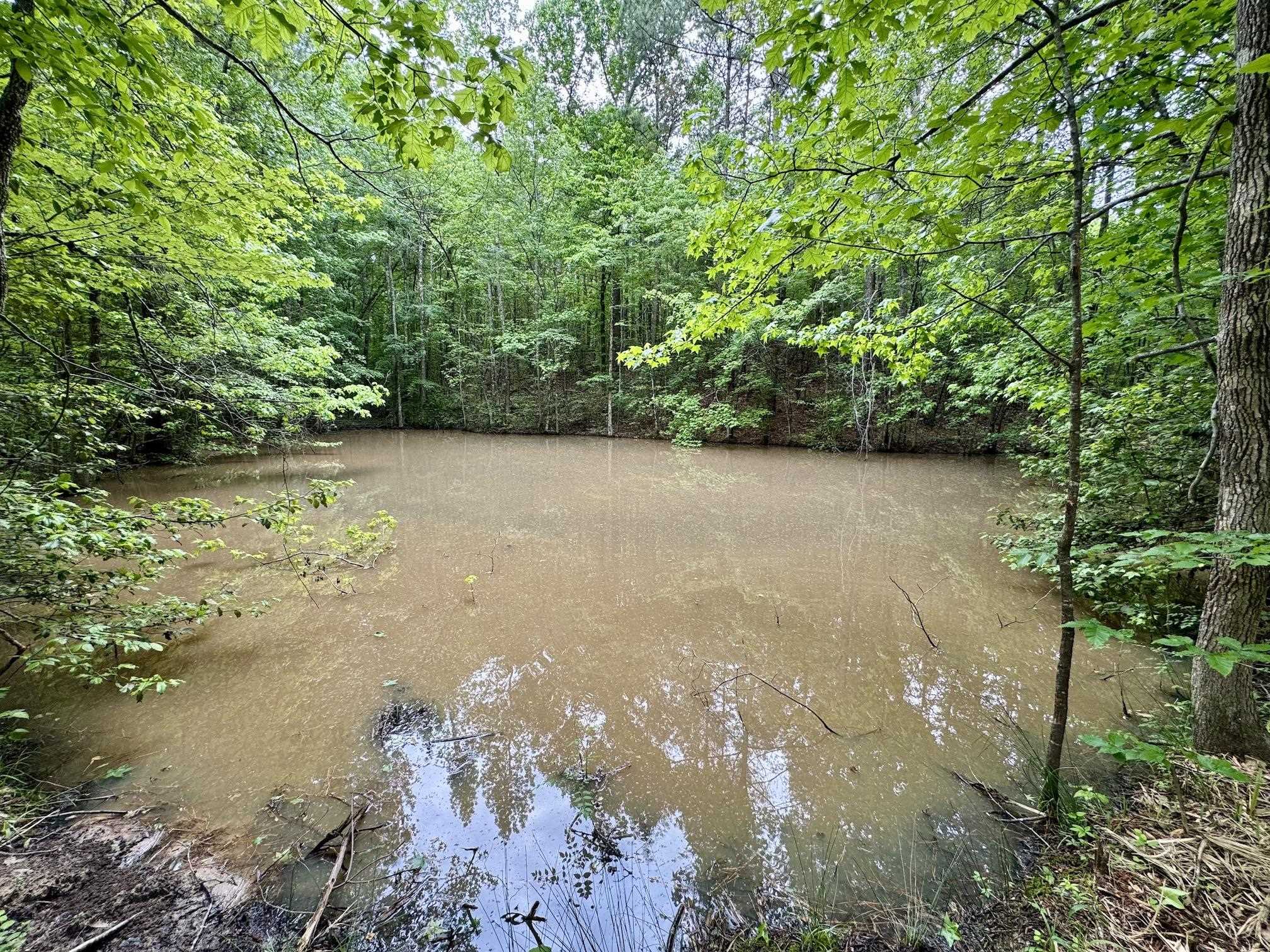 0 Silerton Road Road Bolivar, TN 38008 - Photo 5 of 23 a view of a lake view