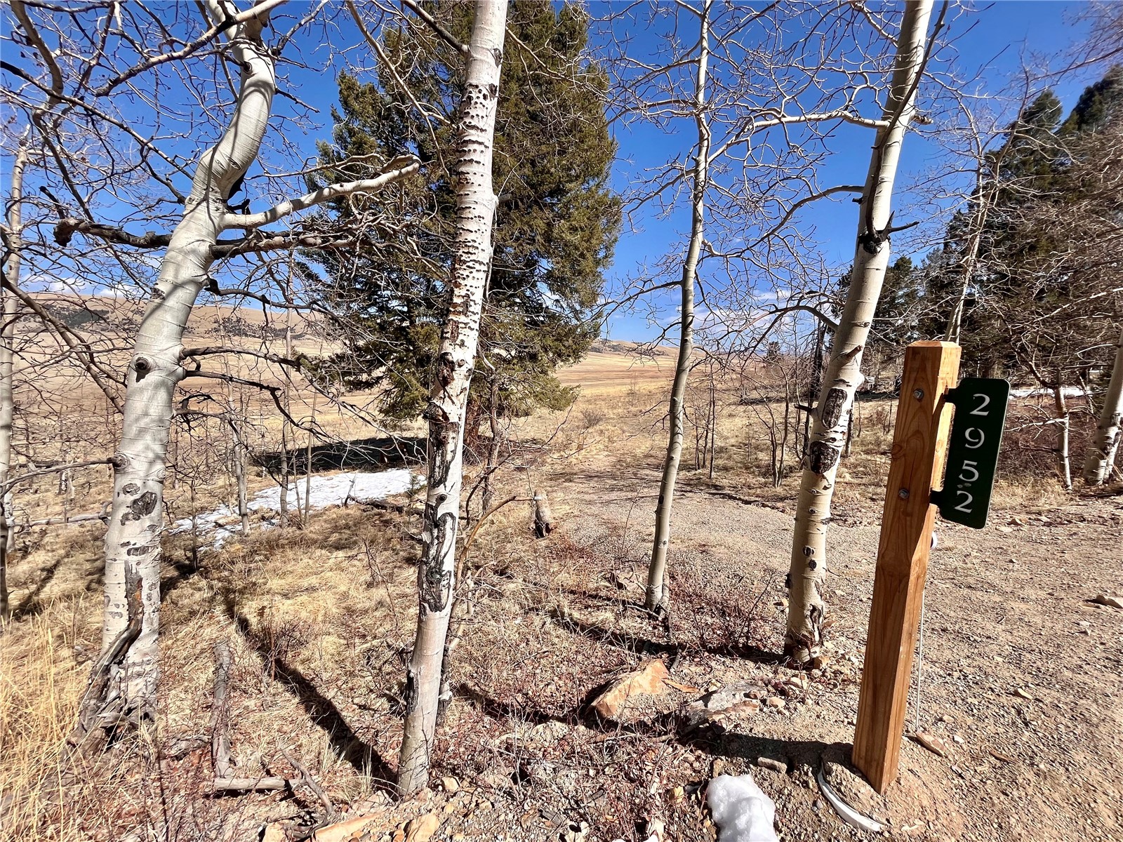 2952 Redhill Road Fairplay, CO 80440 - Photo 2 of 23 Gallery Image 2