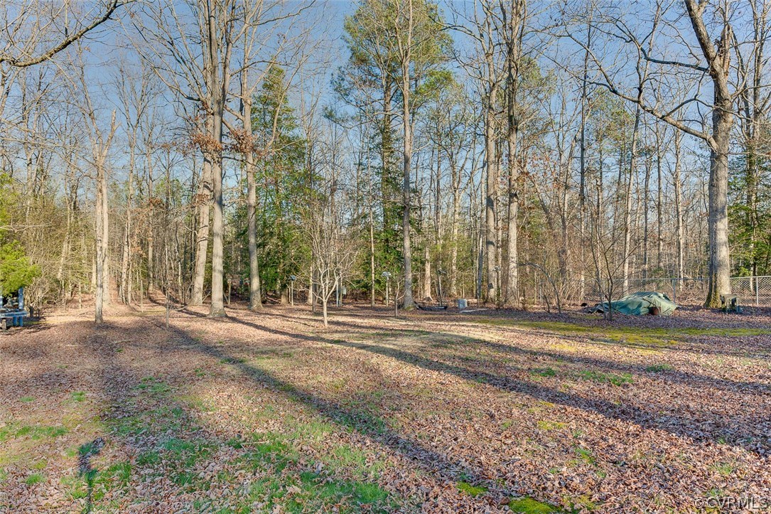 15209 Rowlett Road Chesterfield, VA 23838 - Photo 5 of 8