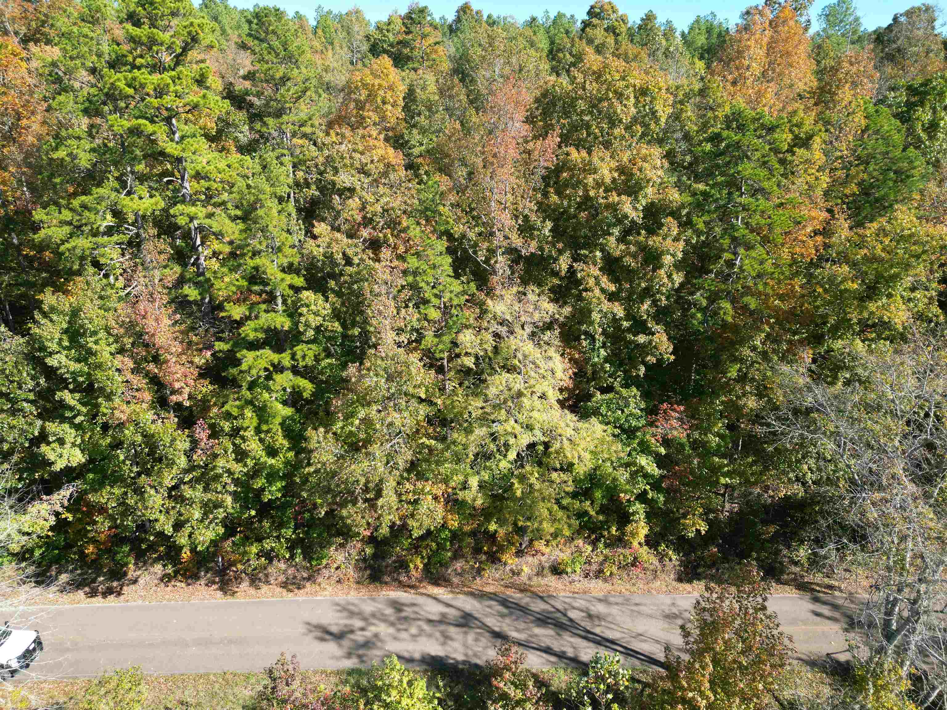 a view of a large yard with lots of bushes
