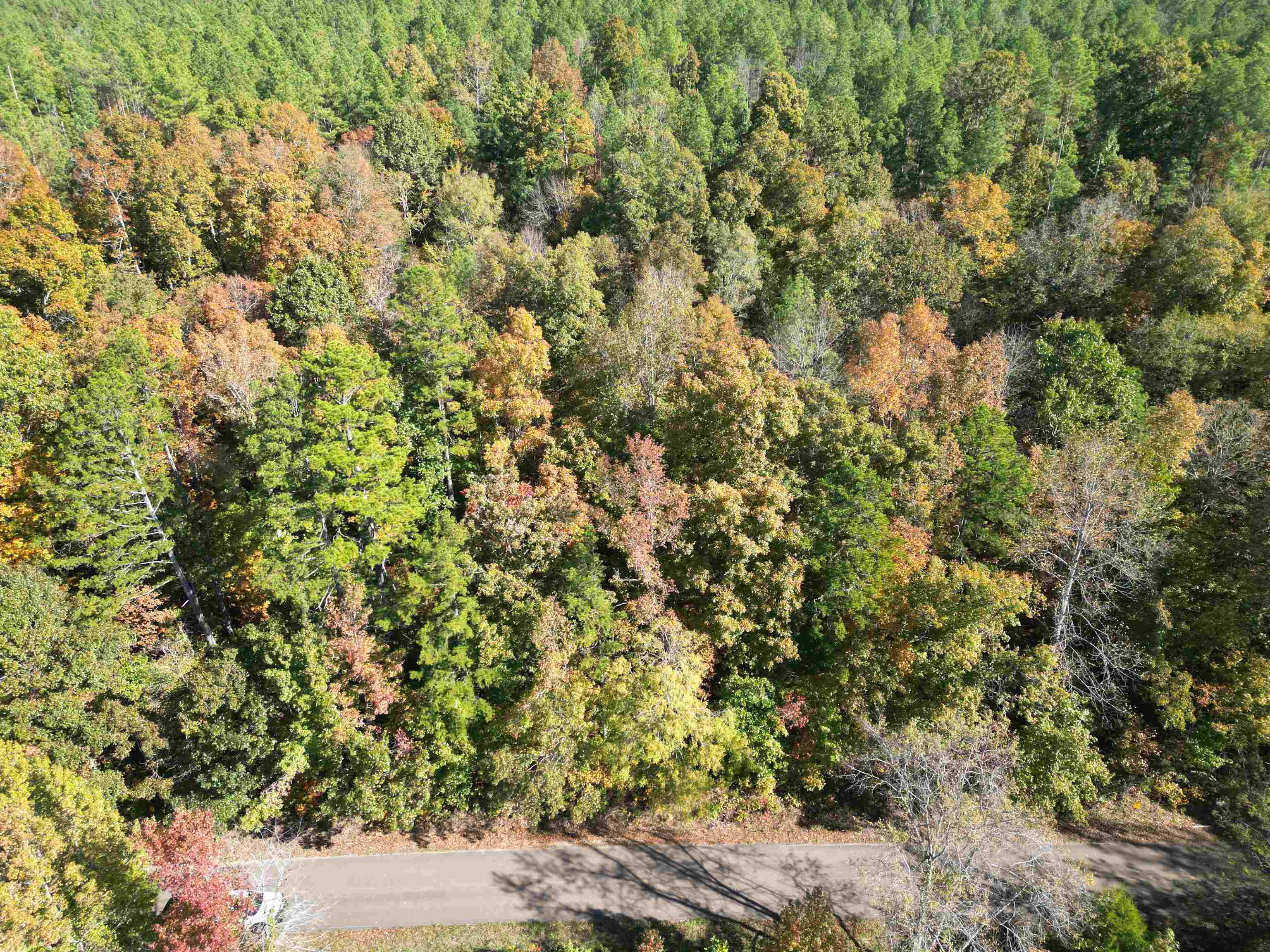 3 Cherry Chapel Loop Savannah, TN 38372 - Photo 15 of 17 a view of a yard with a tree