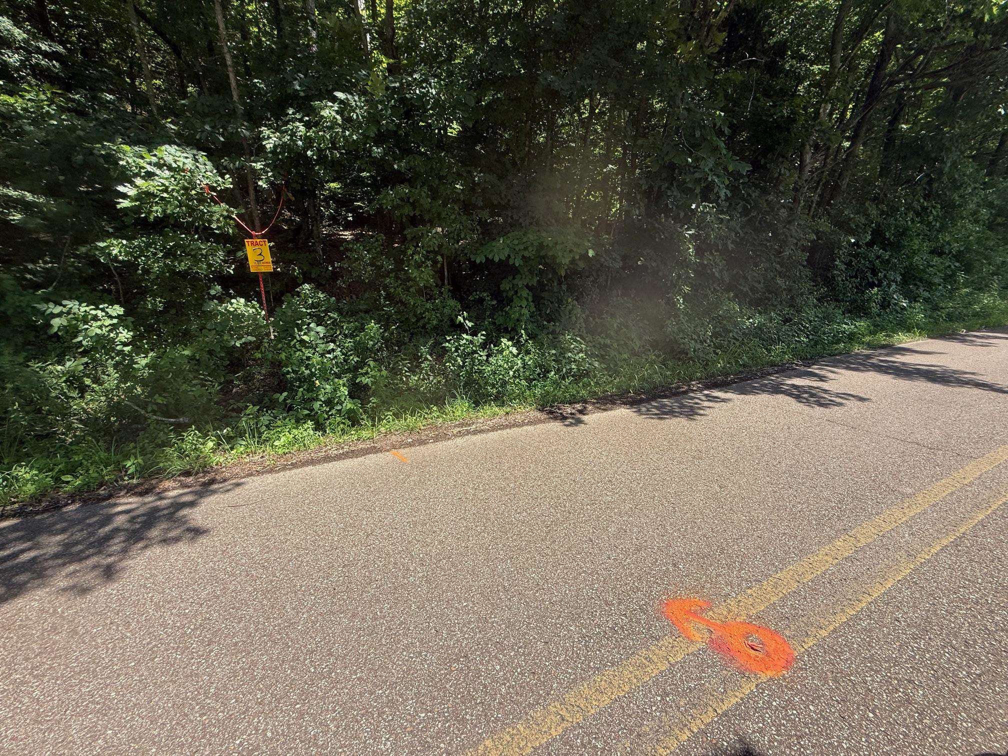 3 Cherry Chapel Loop Savannah, TN 38372 - Photo 2 of 17 a view of a road with a plants
