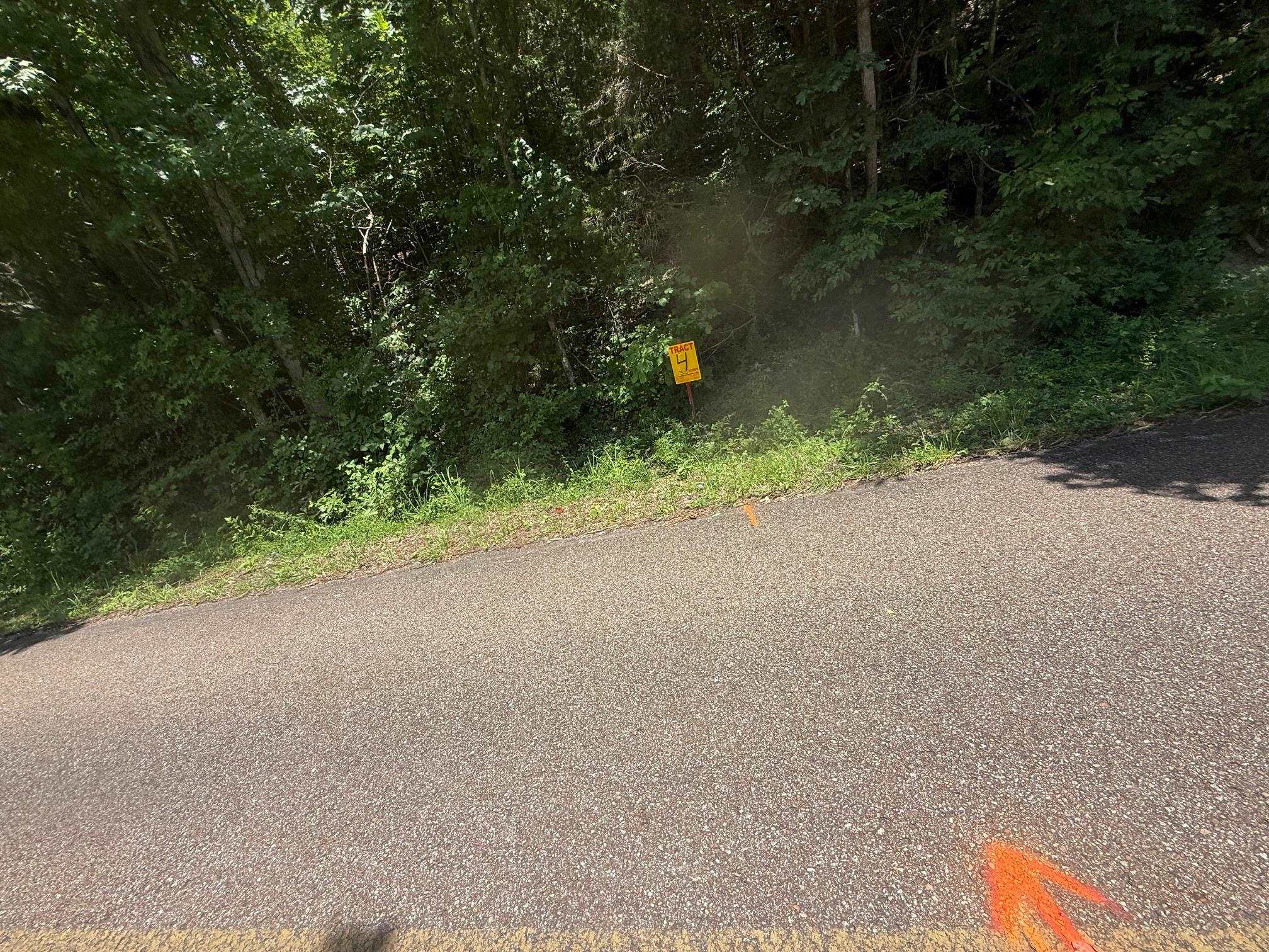 3 Cherry Chapel Loop Savannah, TN 38372 - Photo 10 of 17 a view of a road with a trees