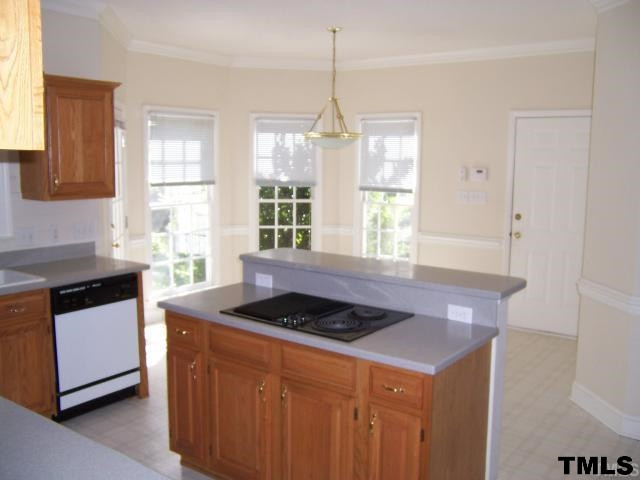 300 Giverny Place Cary, NC 27513 - Photo 8 of 11 Photo 10