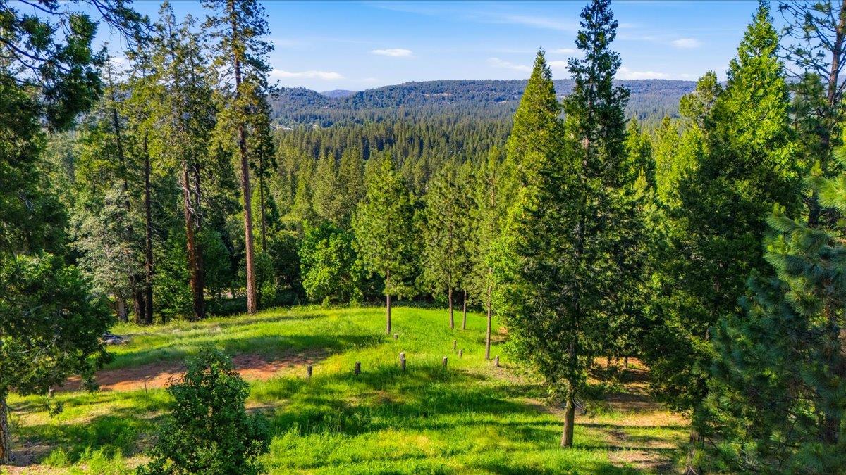 11021 Pittsburg Mine Road Nevada City, CA 95959 - Photo 31 of 36