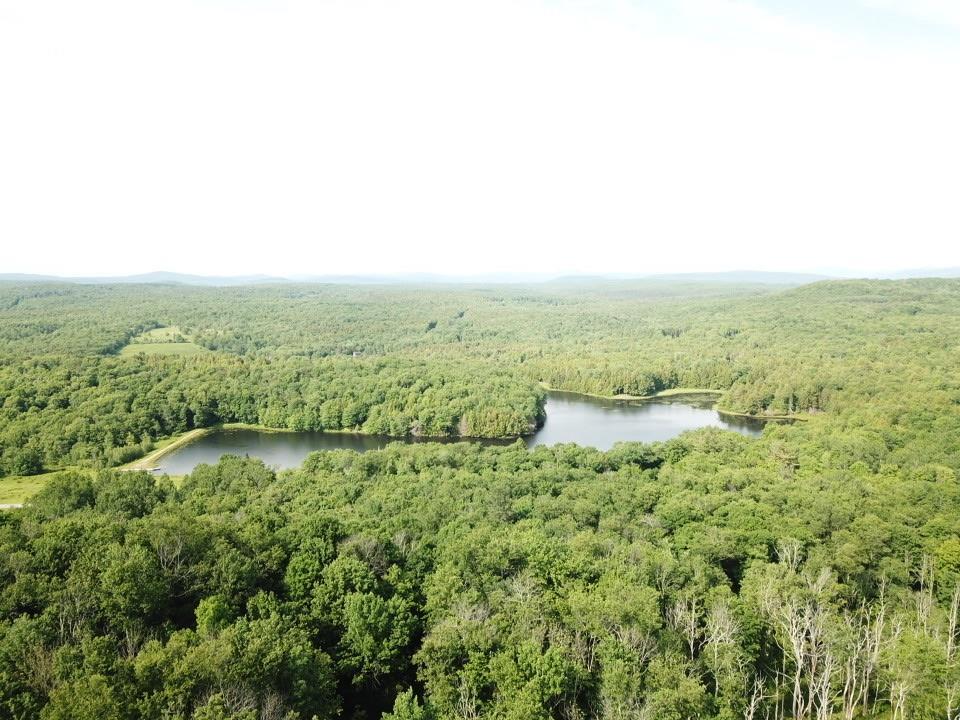 0 Tanzman Road Parksville, NY 12768 - Photo 1 of 1 Gallery Image 1