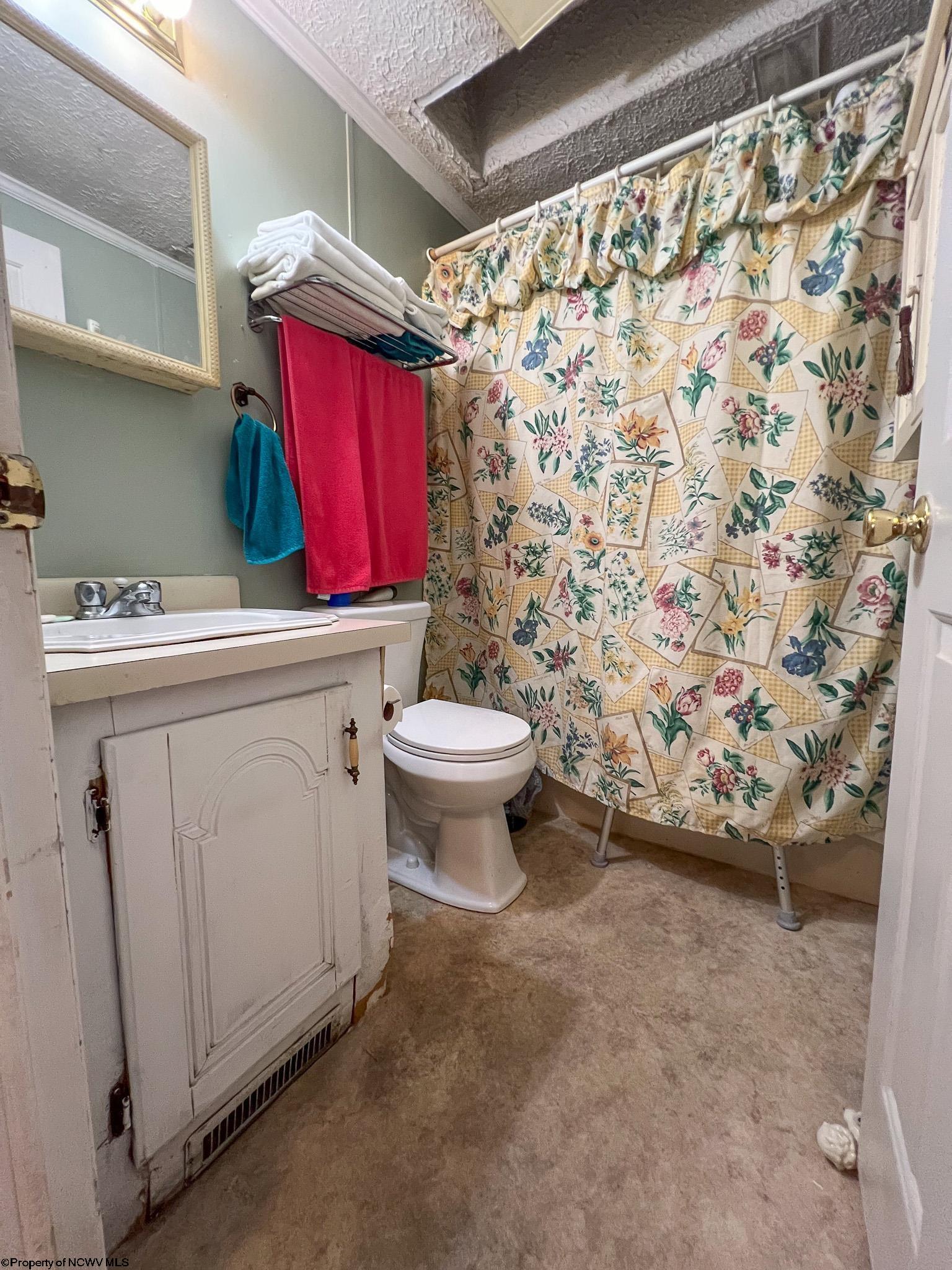 49 Westfield Road Jane Lew, WV 26378 - Photo 21 of 33 Gallery Image 21