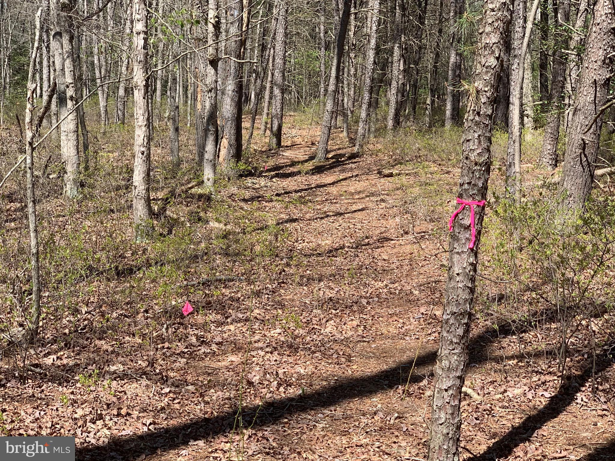 0 Porters Landing Road Greensboro, MD 21639 - Photo 20 of 23 Path to Choptank River is marked in PINK