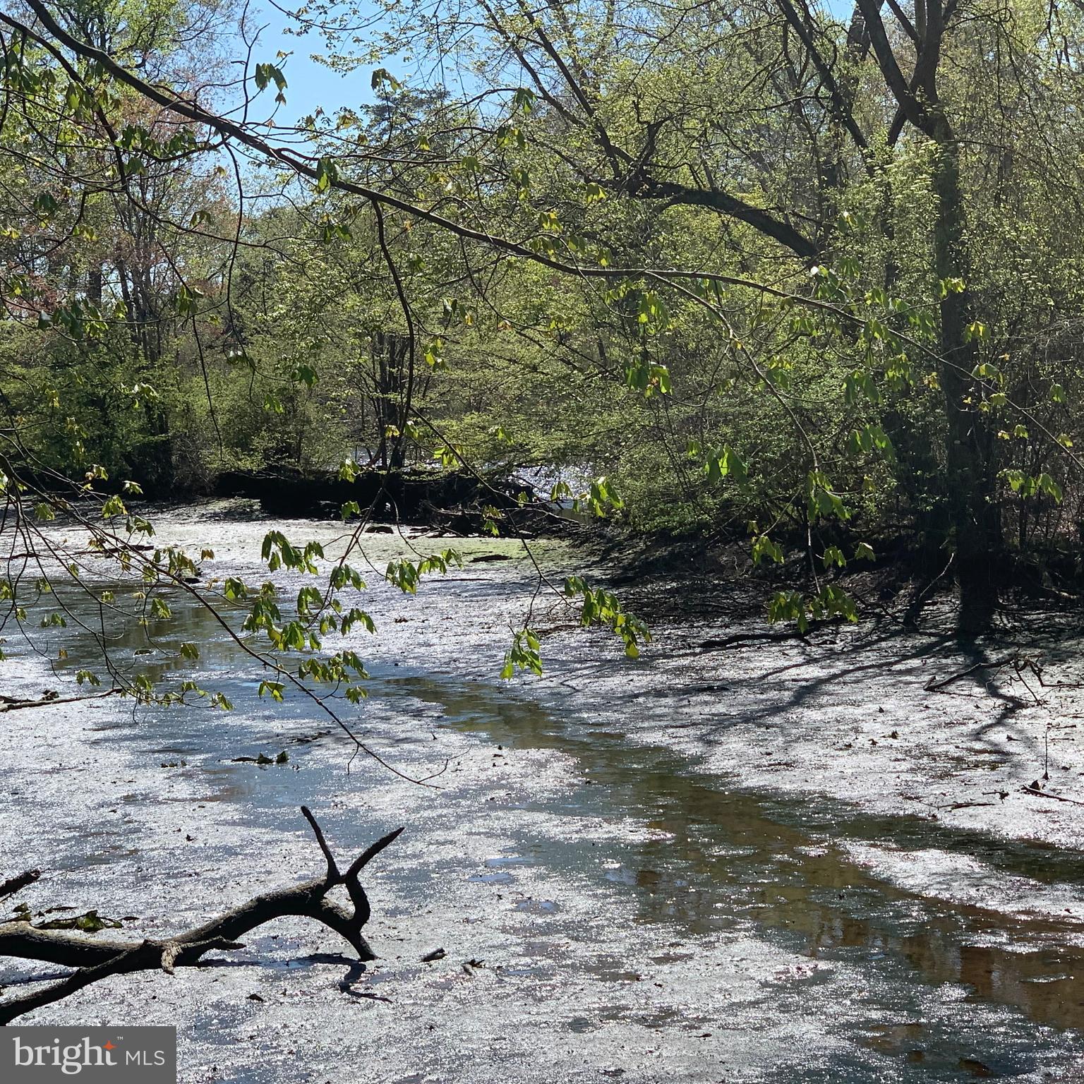 0 Porters Landing Road Greensboro, MD 21639 - Photo 21 of 23 Southern View w Choptank River in Distance (right)