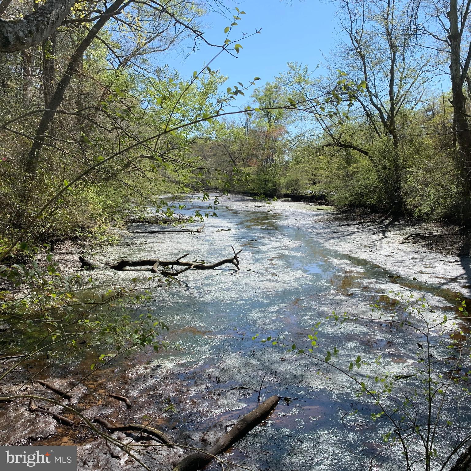 0 Porters Landing Road Greensboro, MD 21639 - Photo 22 of 23 Low Tide