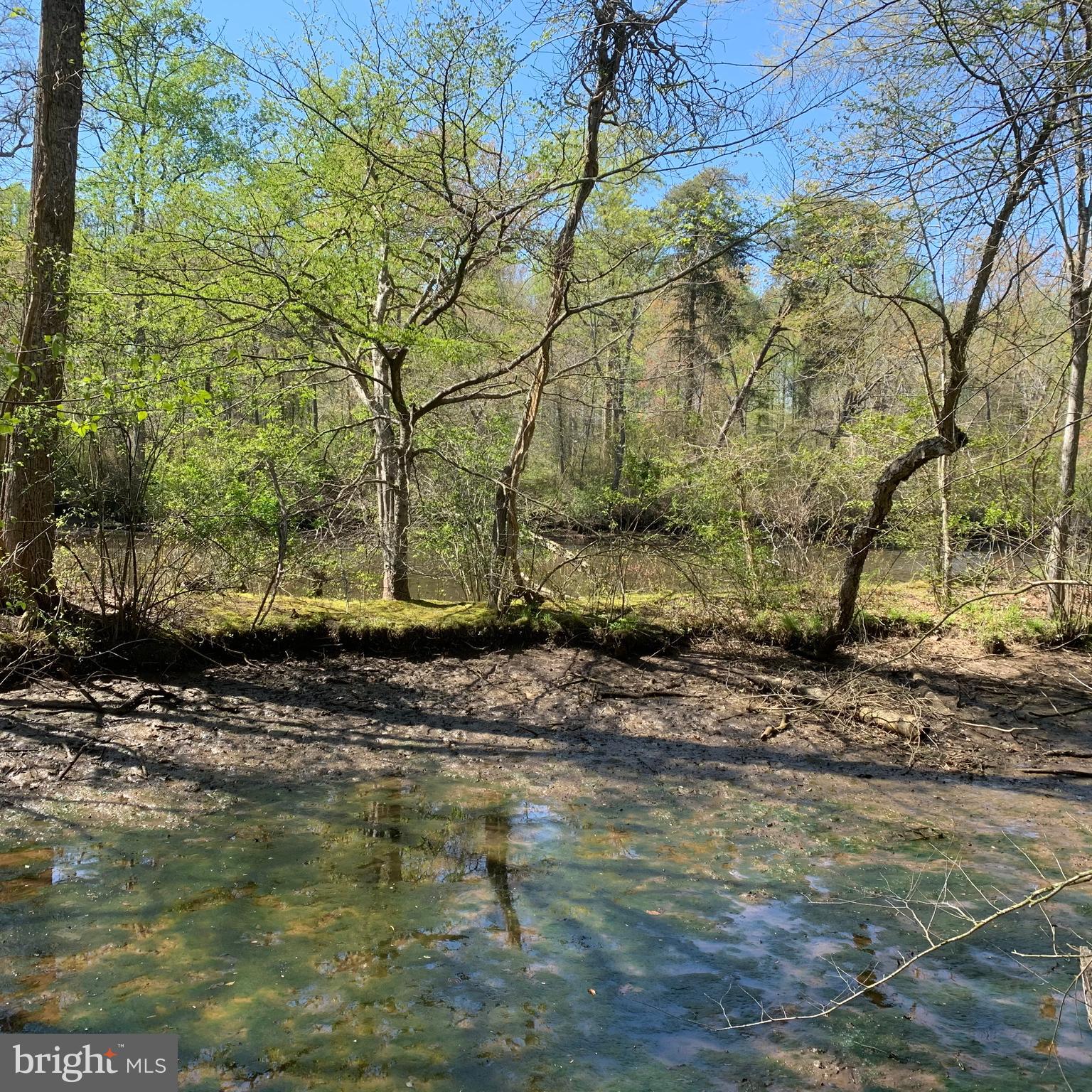 0 Porters Landing Road Greensboro, MD 21639 - Photo 23 of 23 Island Strip before reaching Choptank River