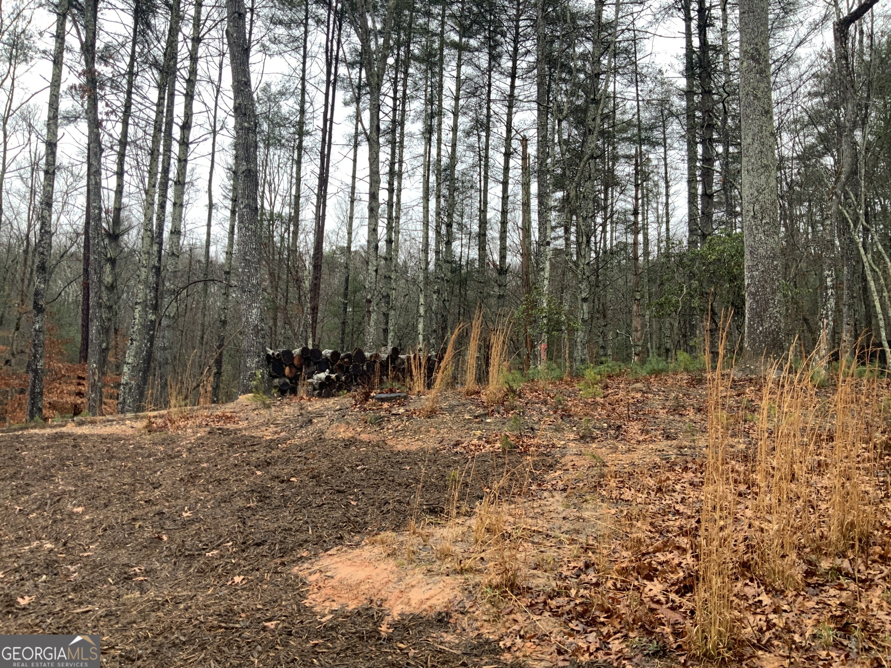 2055 Star Creek Road Morganton, GA 30560 - Photo 35 of 39 a view of a backyard of the house