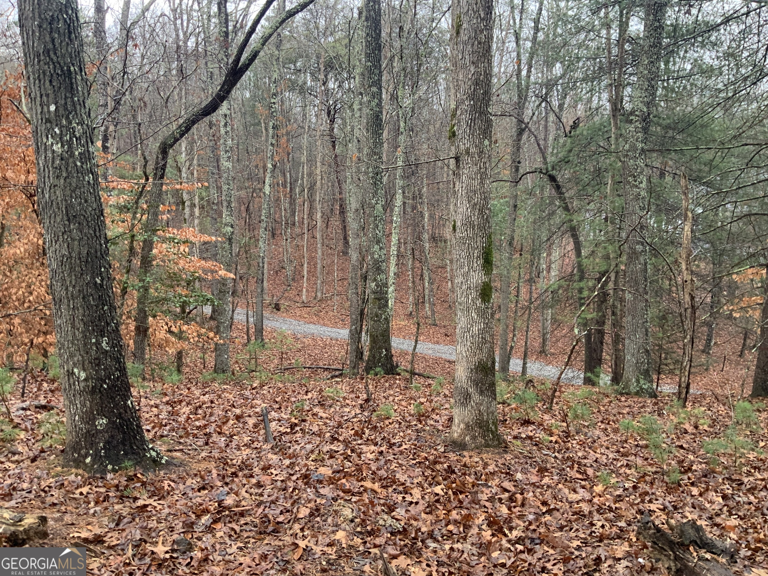 2055 Star Creek Road Morganton, GA 30560 - Photo 37 of 39 a backyard of a house with lots of green space