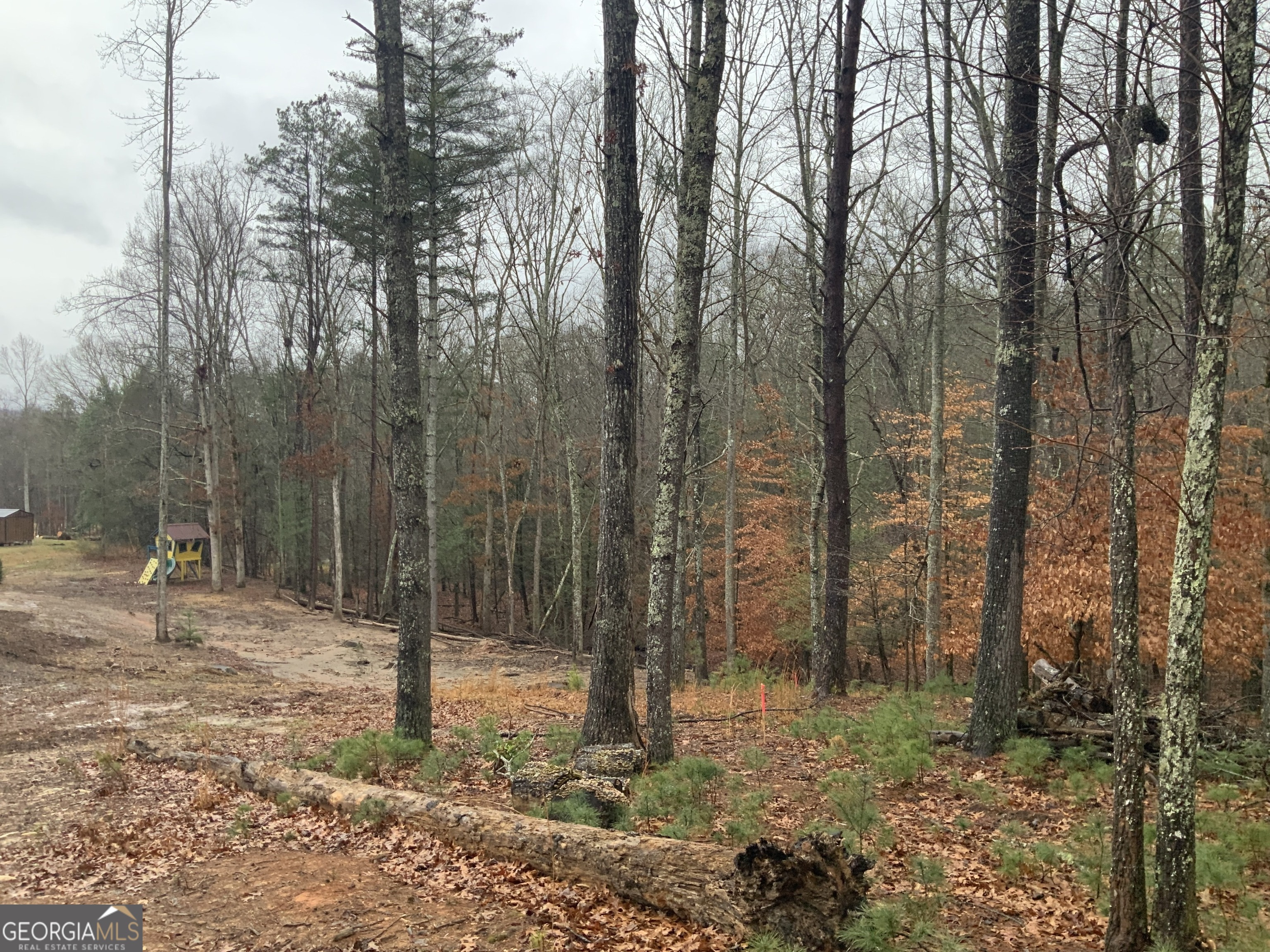 2055 Star Creek Road Morganton, GA 30560 - Photo 38 of 39 a backyard of a house with lots of trees