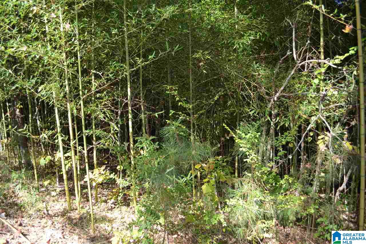 17871 Highway 75, Unit 5 7 ACRES Remlap, AL 35133 - Photo 12 of 23