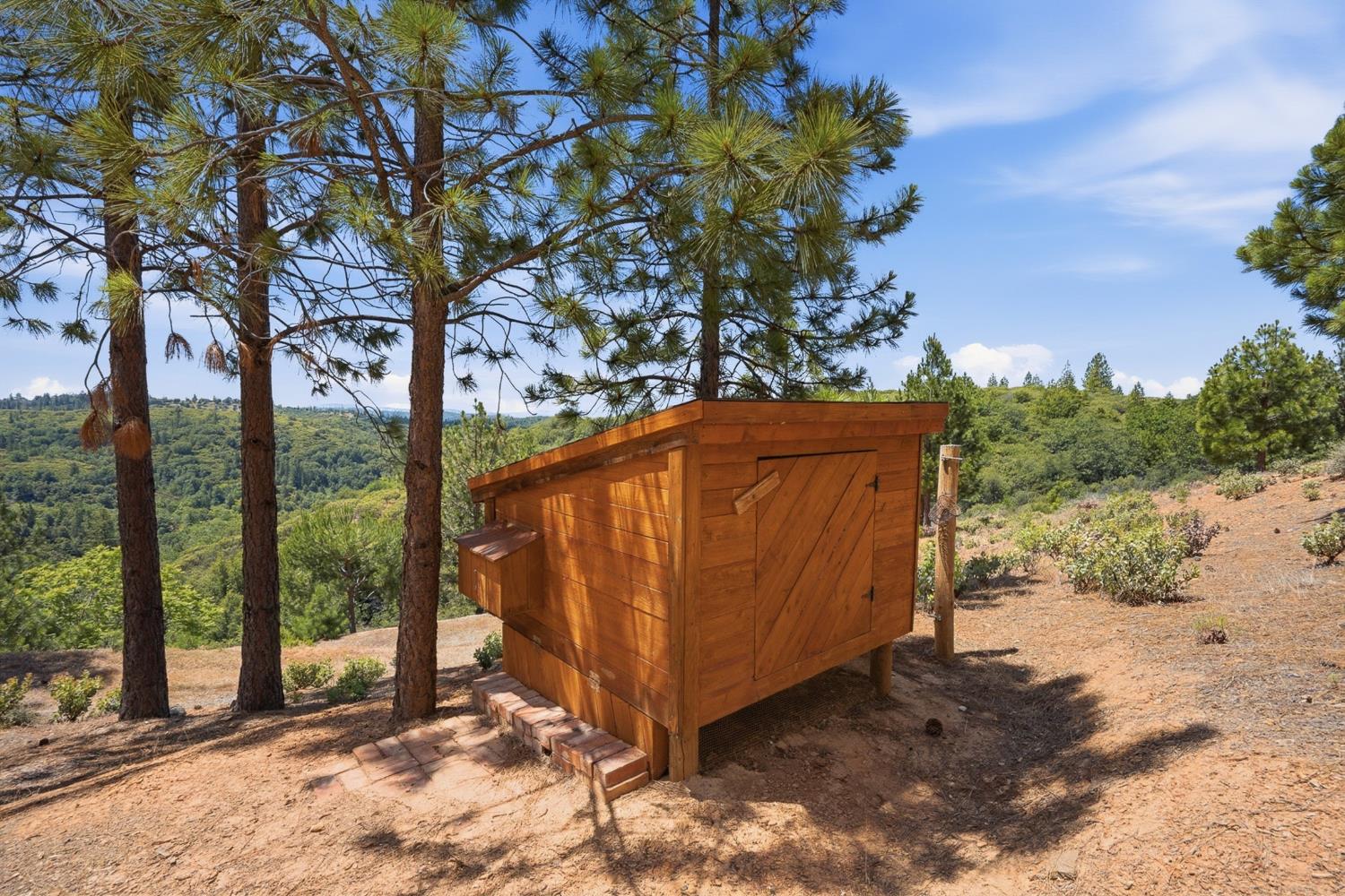 5595 Jasper-Ridge Murphys, CA 95247 - Photo 37 of 96 Custom chicken coop in the side yard.