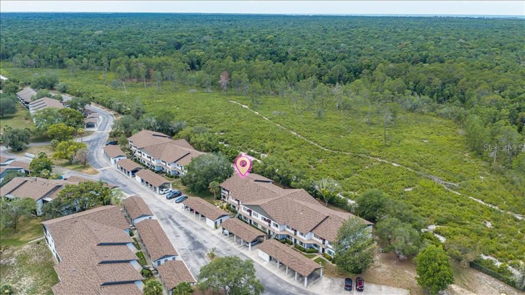 6653 River Run Boulevard, Unit 6653 Weeki Wachee, FL 34607 - Photo 48 of 54