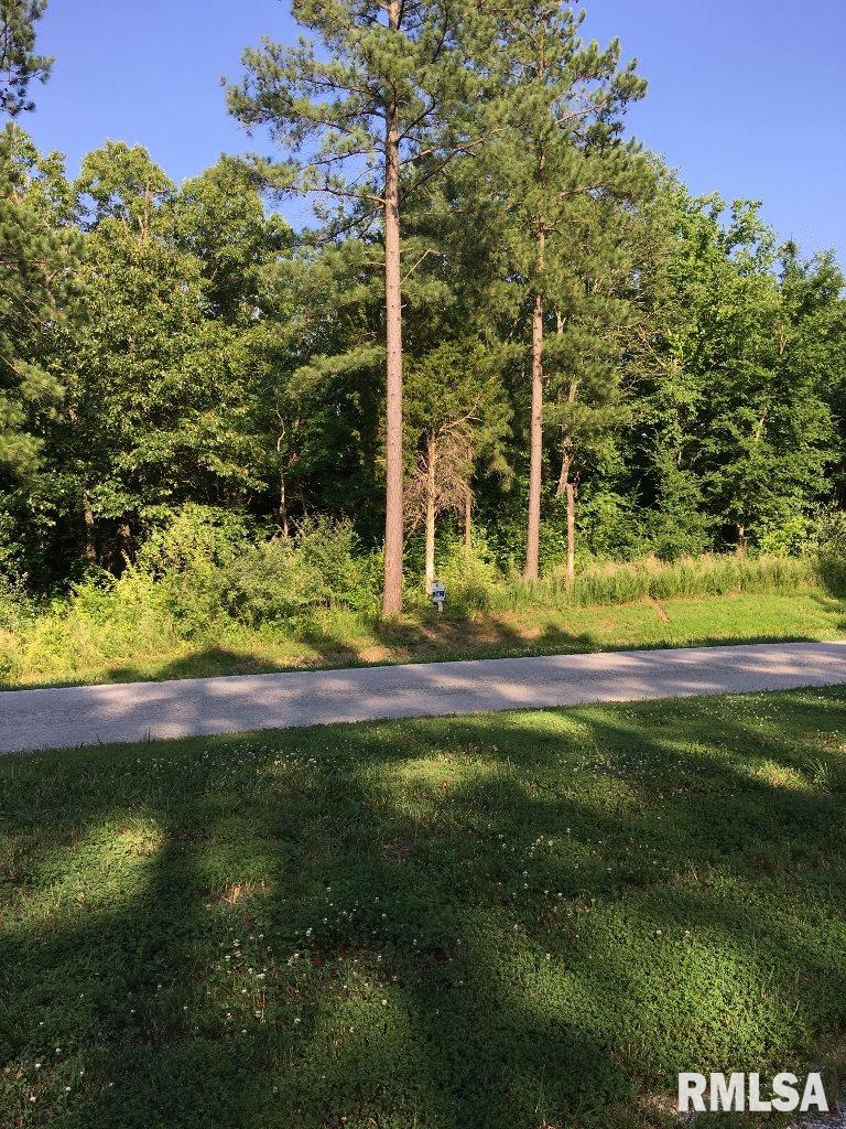 Lot 241 Parrish Ridge Goreville, IL 62939 - Photo 8 of 15 Gallery Image 8