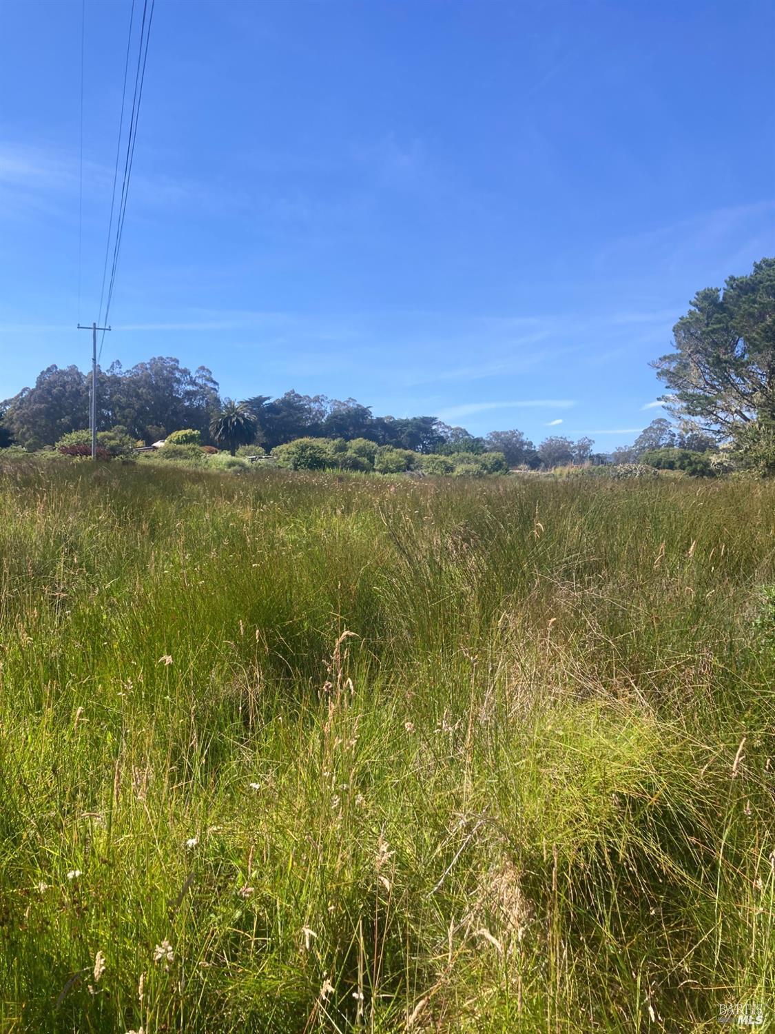 0 Juniper Road Bolinas, CA 94924 - Photo 2 of 2 a view of an ocean from a building