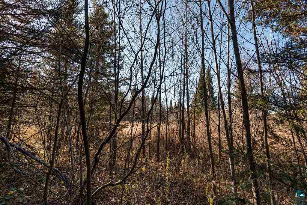 12 Two Harbors Two Harbors, MN 55616 - Photo 13 of 17