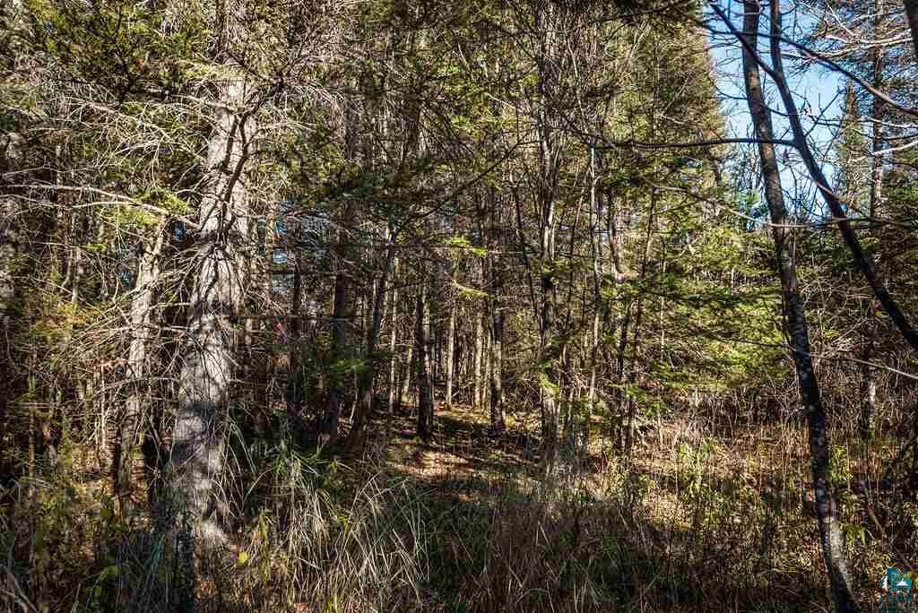 12 Two Harbors Two Harbors, MN 55616 - Photo 14 of 17