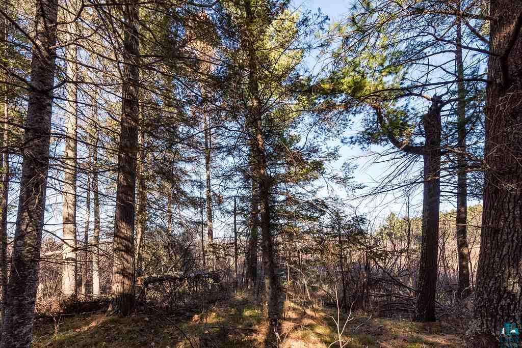 12 Two Harbors Two Harbors, MN 55616 - Photo 3 of 17